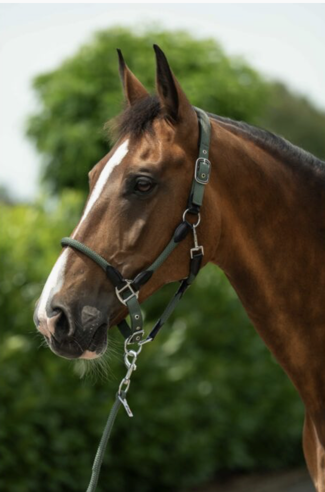 Screenshot 2026-02-11 at 8.48.30 PM.png