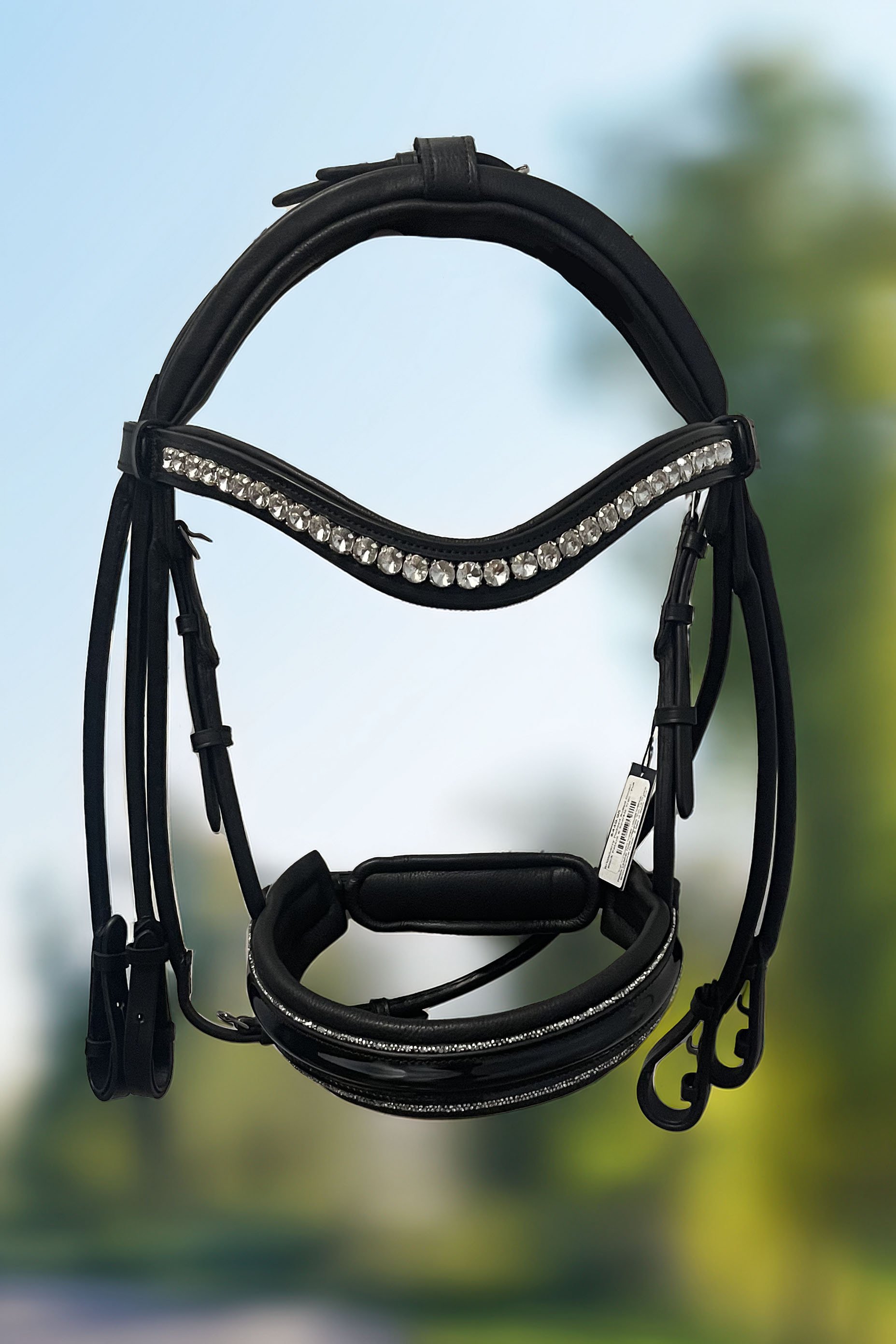 doublebridle.jpg