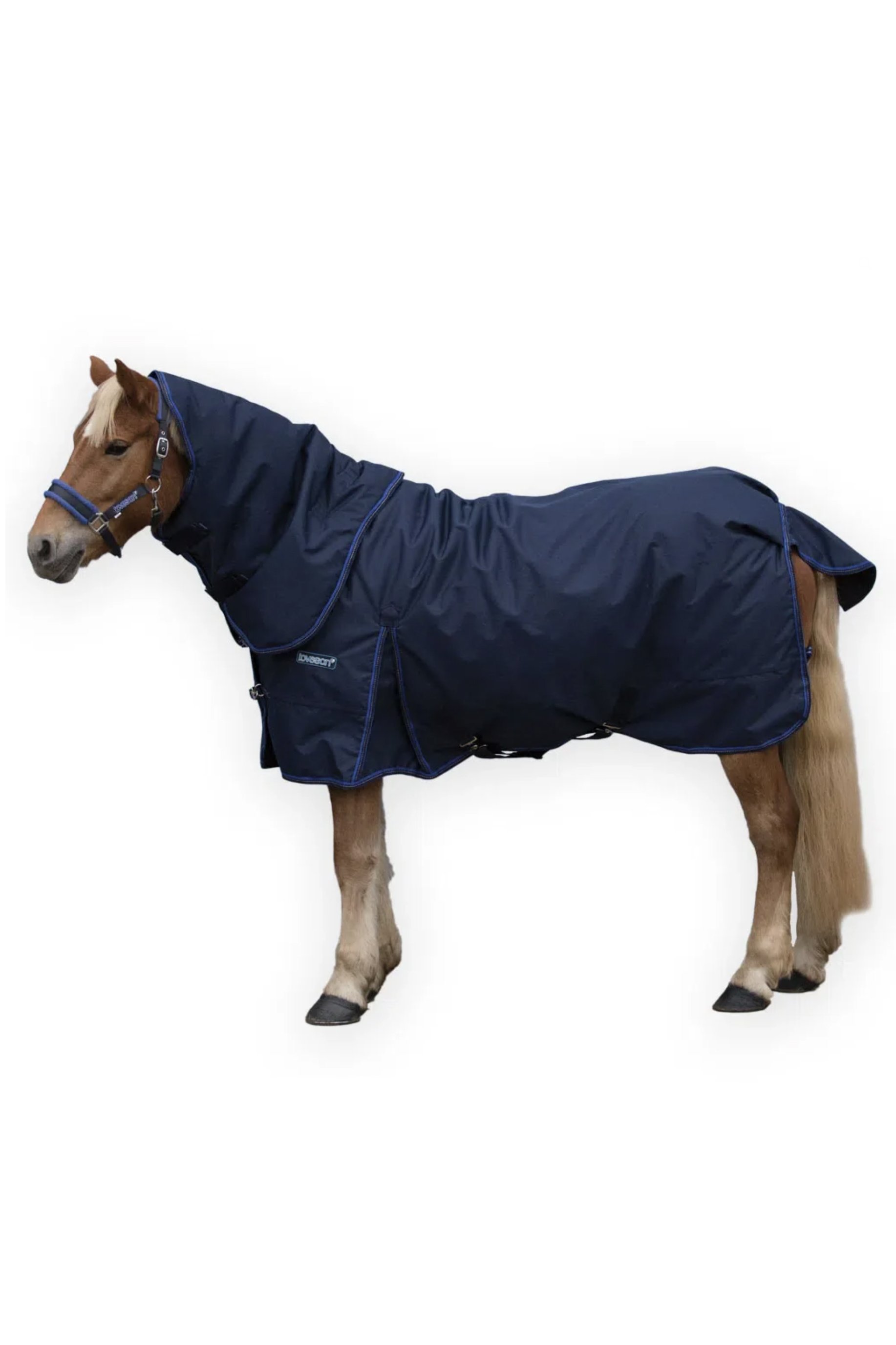 Loveson Turnout 200g Plush By Horseware In Navy - 66"