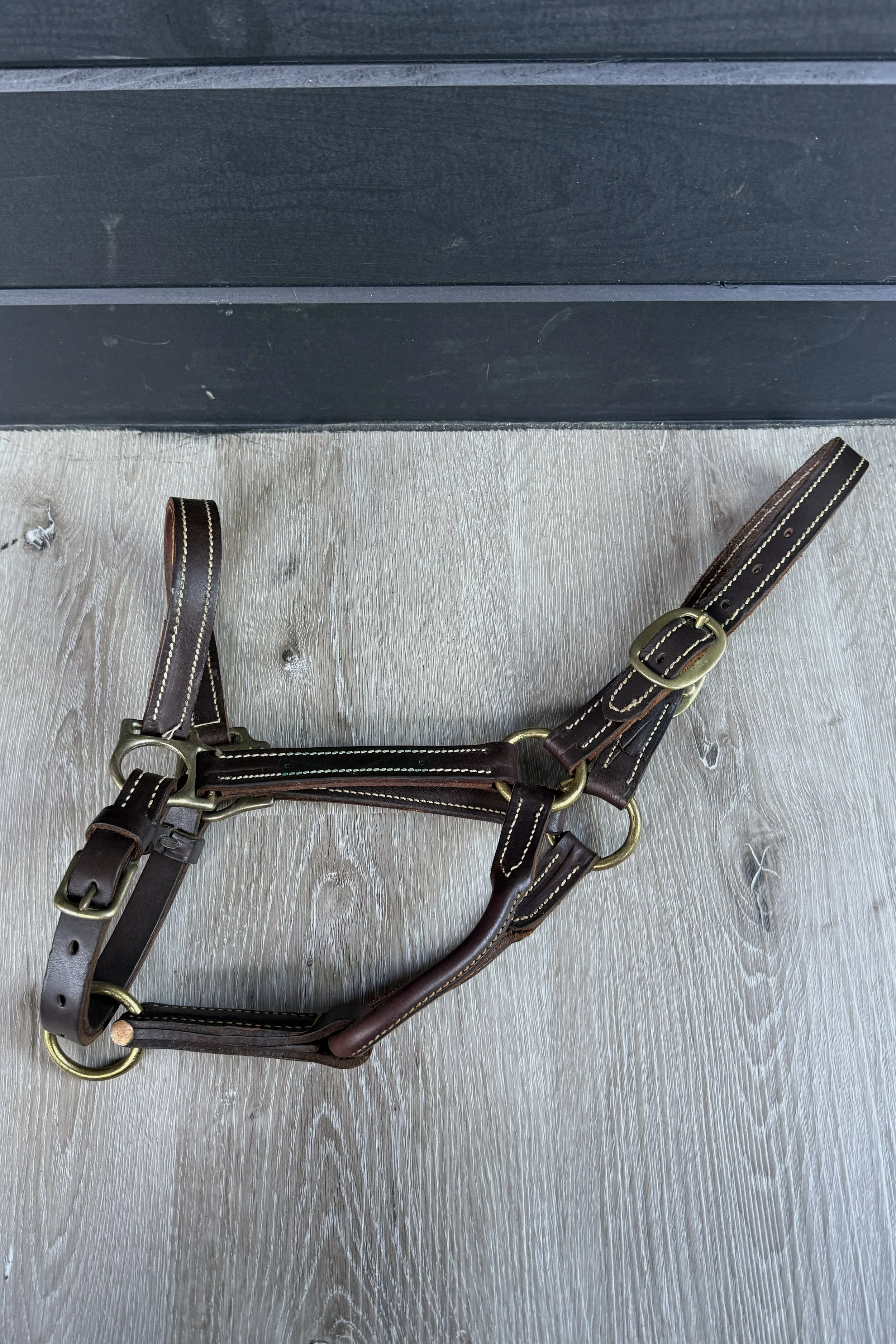 Double Stitched Leather Halter In Brown - Cob