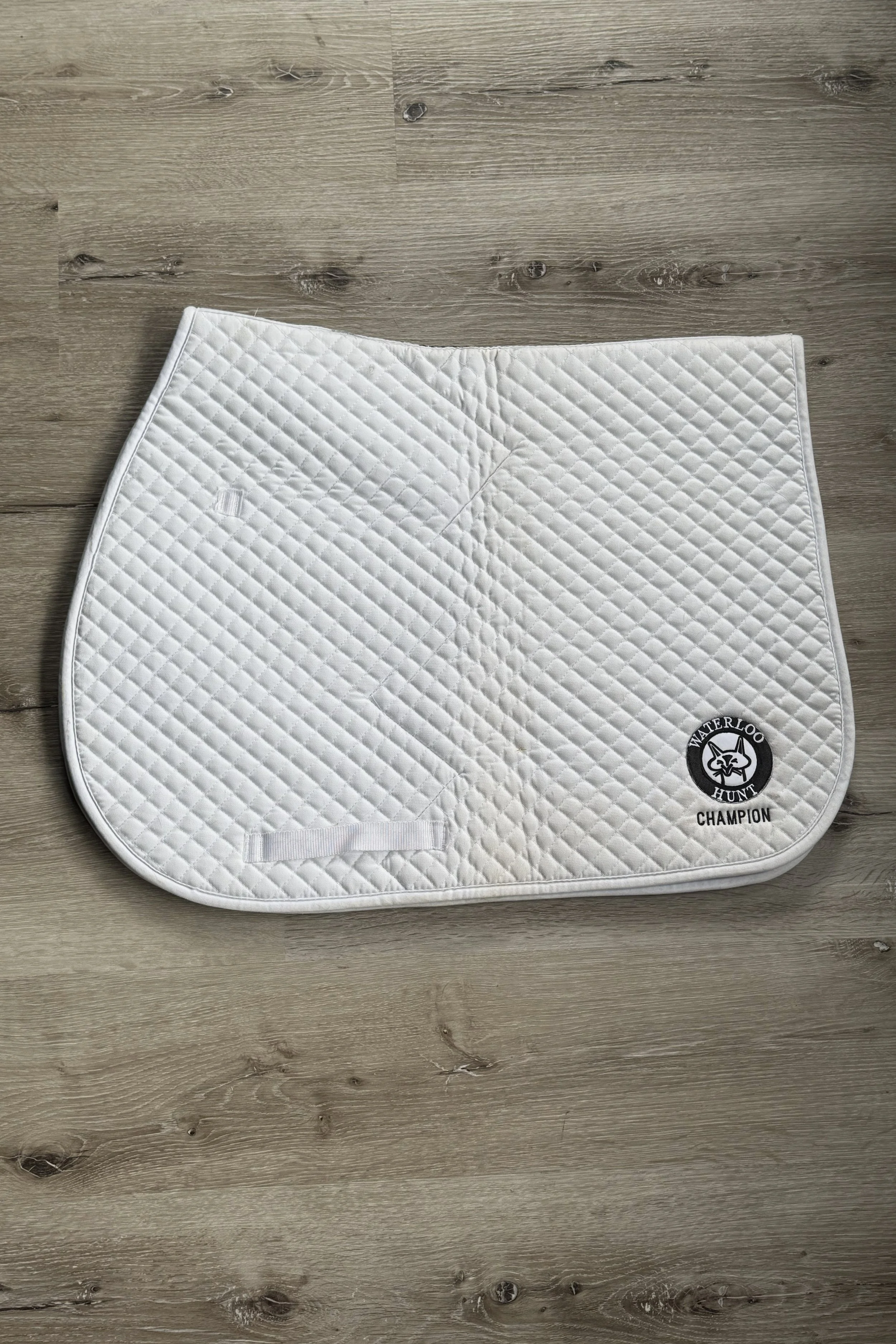 saddle 2.jpg