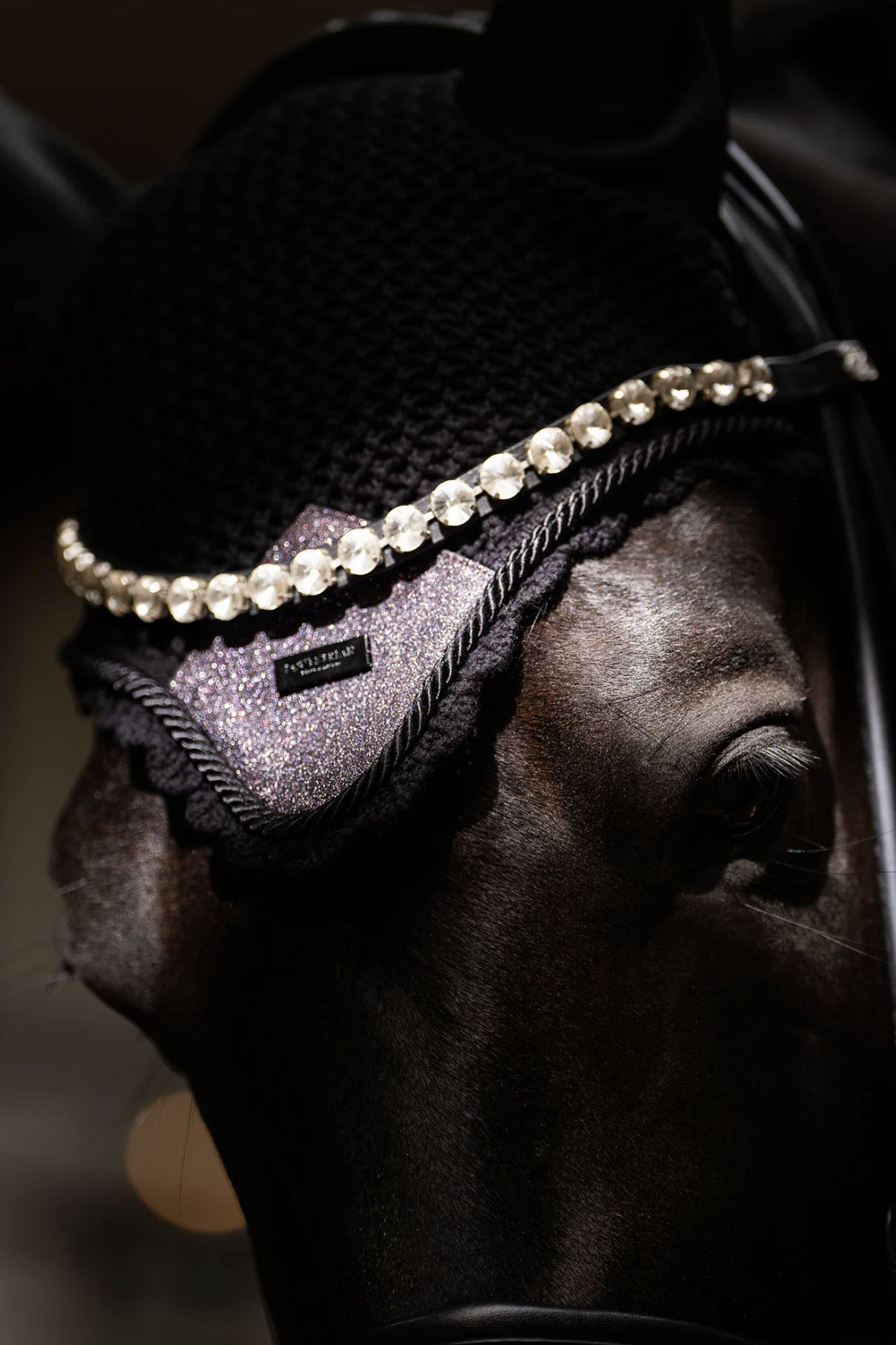 purp-2.jpg