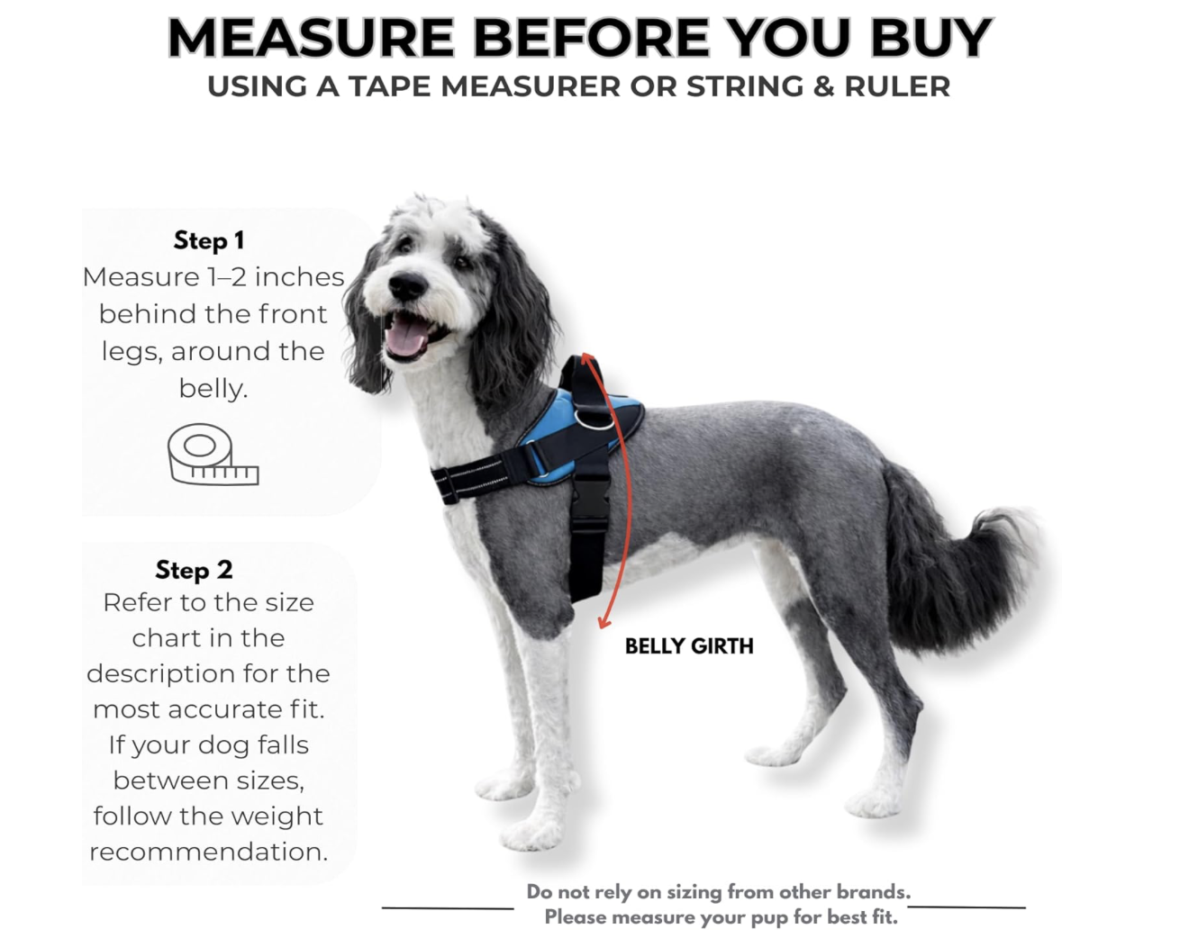 Screenshot 2026-04-01 at 9.03.02 PM.png (Copy)