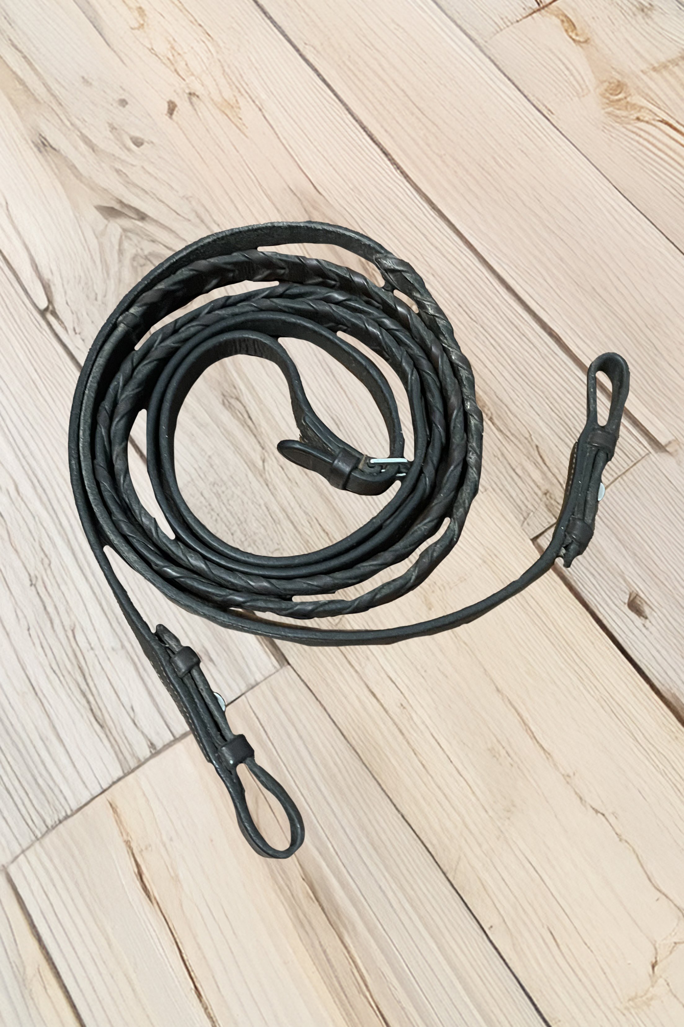 laced reins .jpg