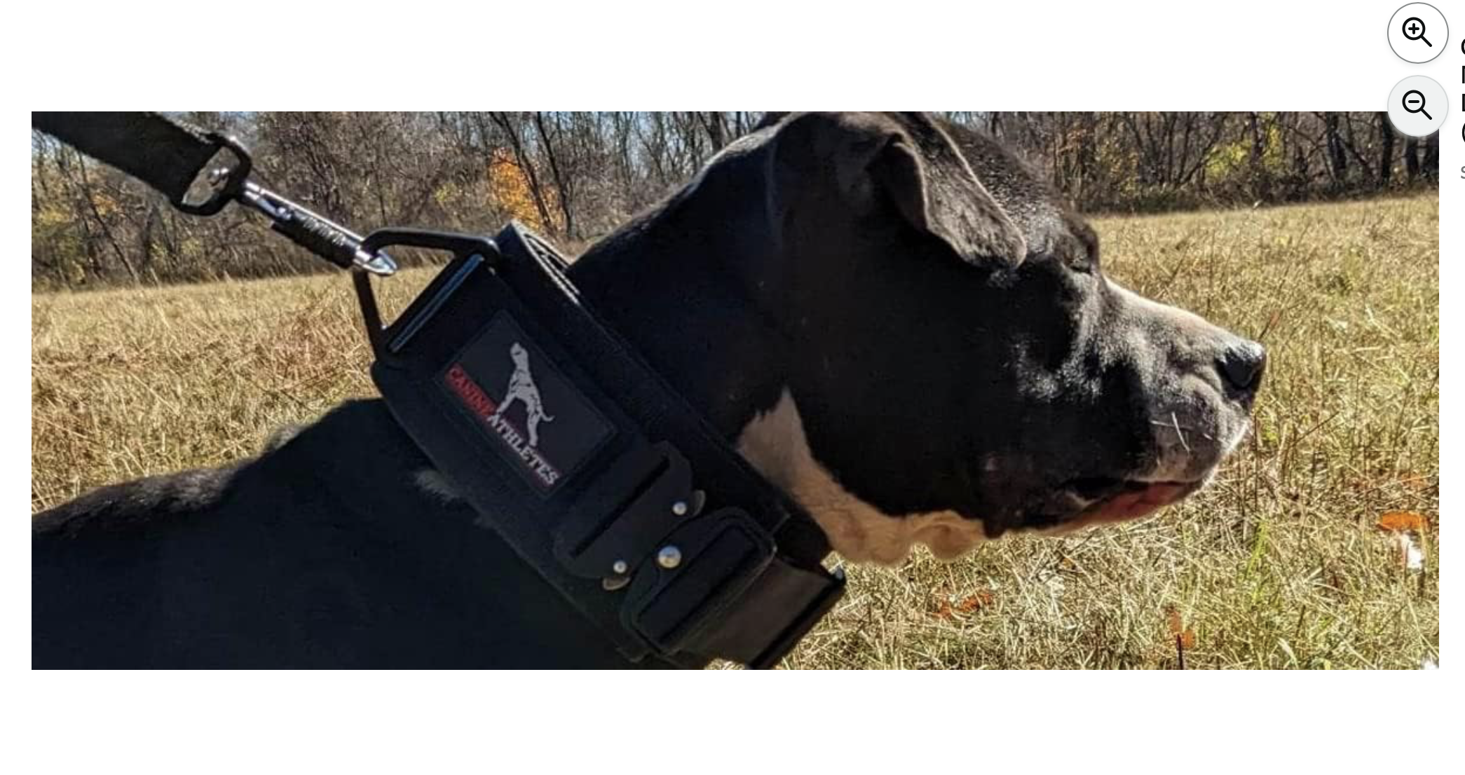 Screenshot 2026-04-02 at 8.14.16 PM.png