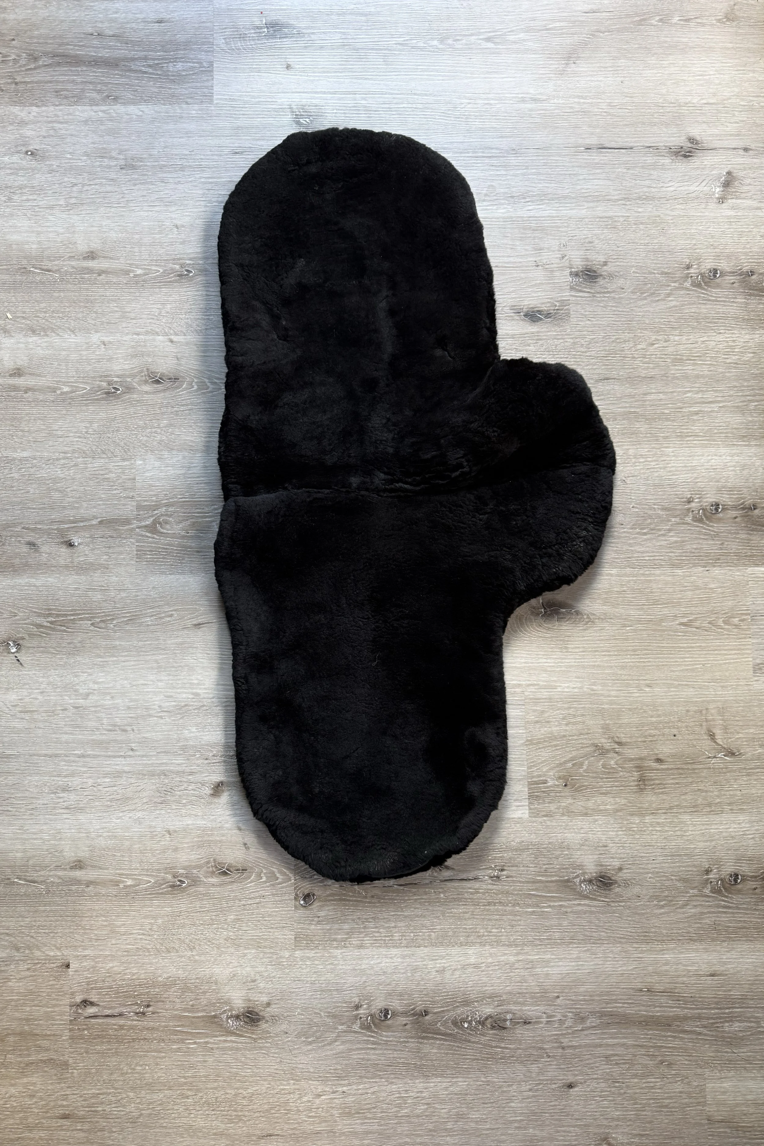 shaped inside .jpg