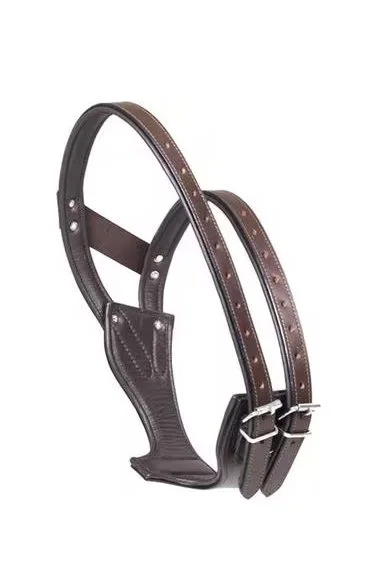 collar.jpg