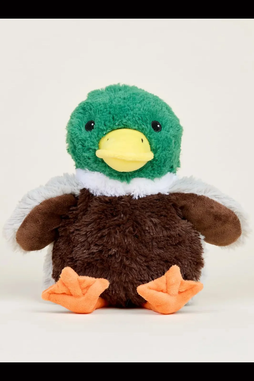 duck.jpg
