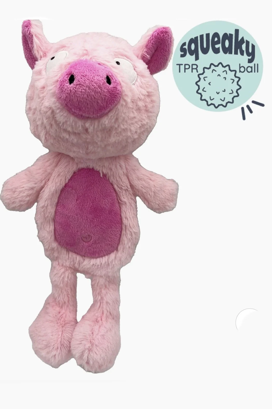 piggy.jpg