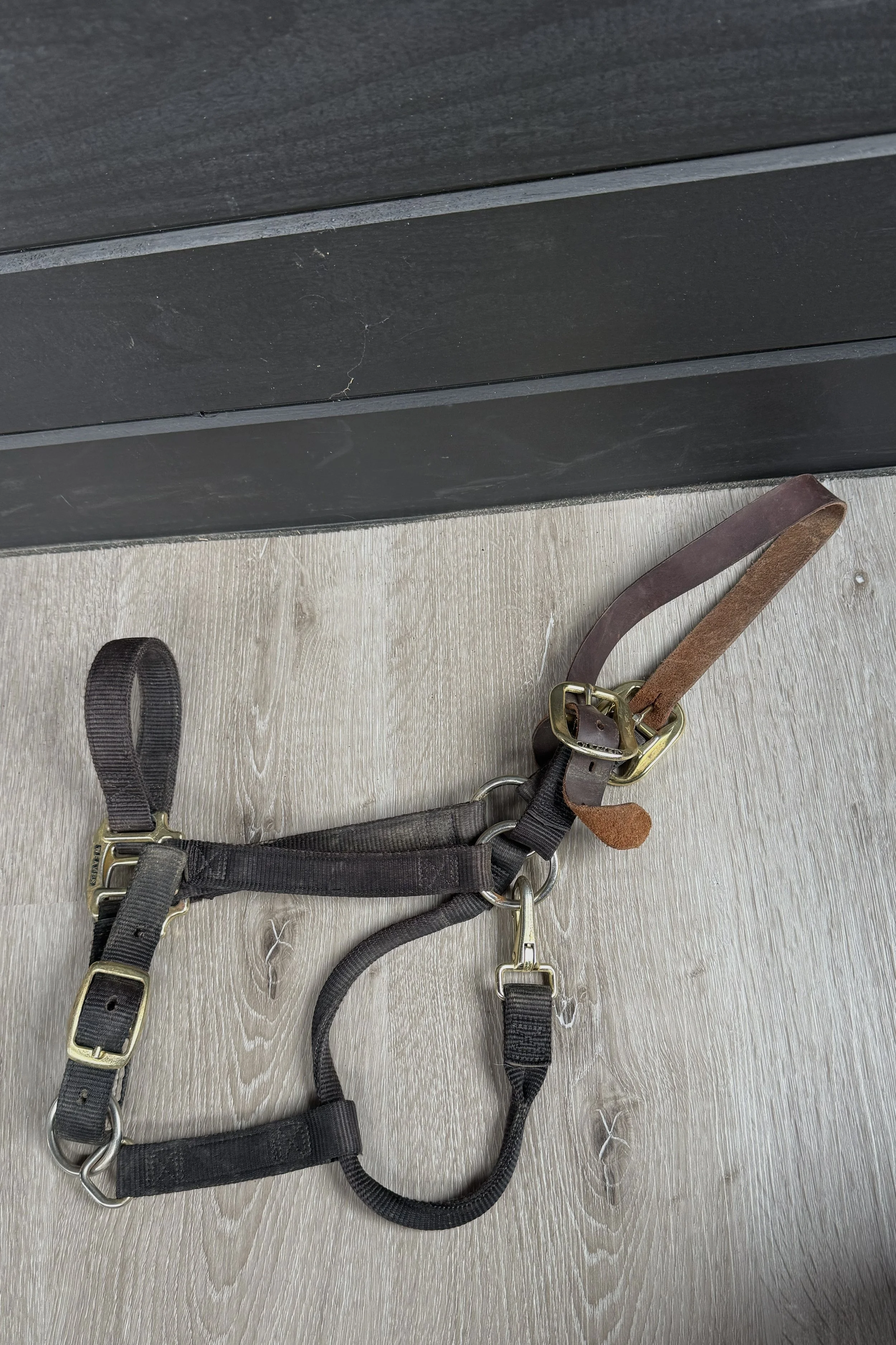 Weaver Nylon Breakaway Halter In Black - Horse