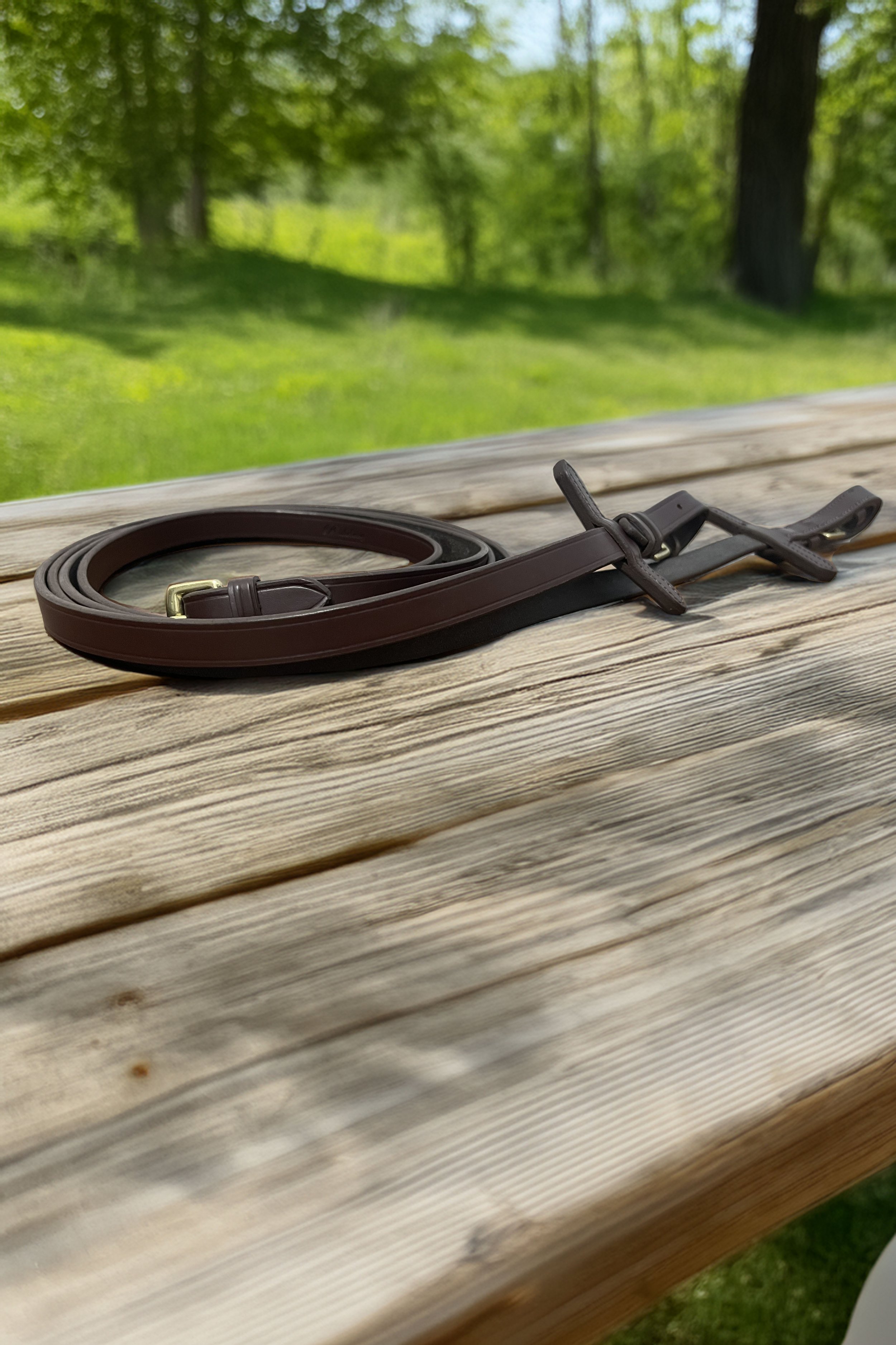 reins2tone.jpg