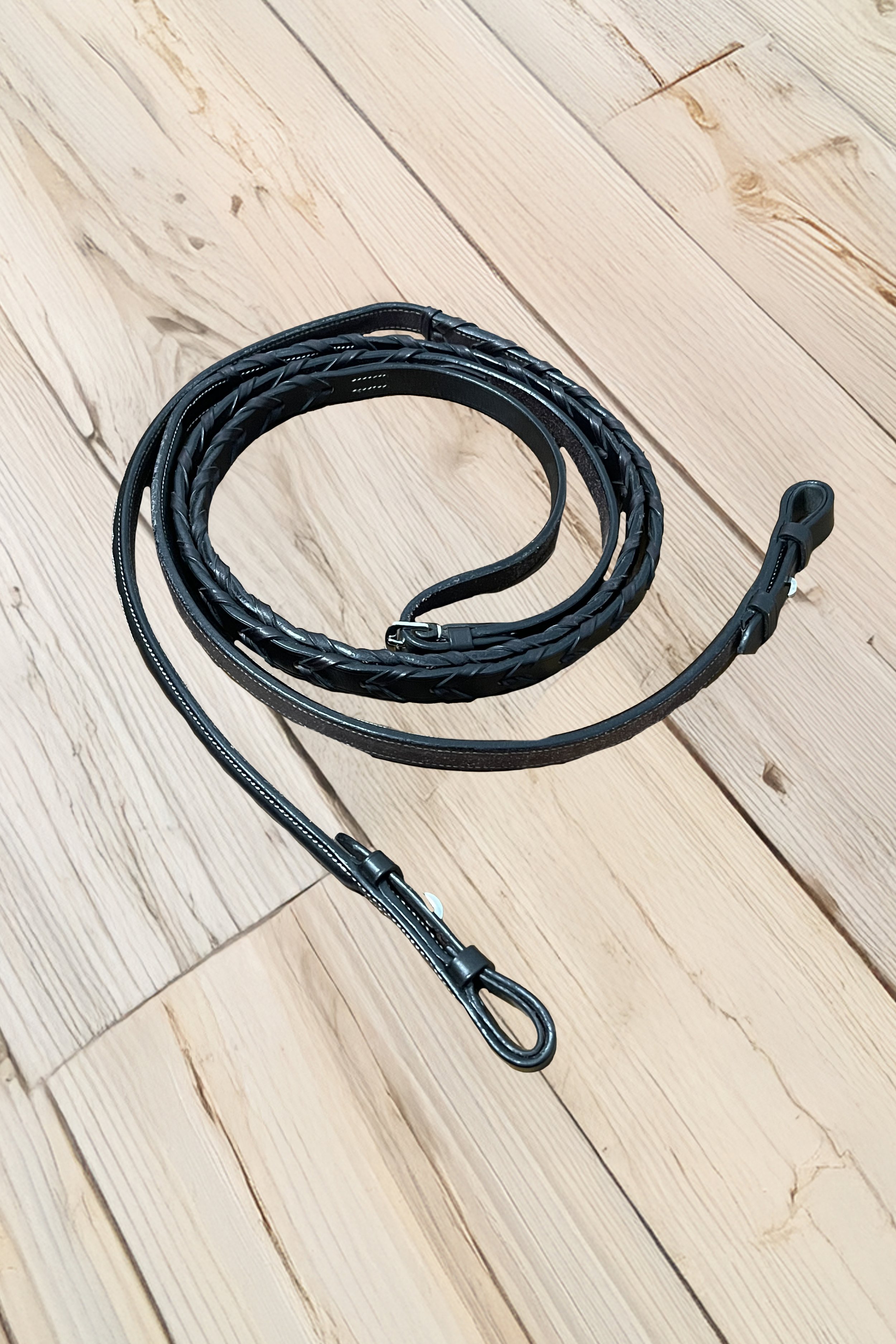 reins .jpg