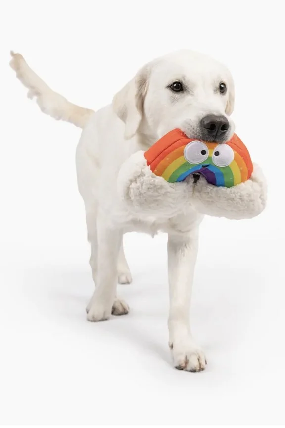 Huxley & Kent Dog Toy - Happy Rainbow Dog Toy