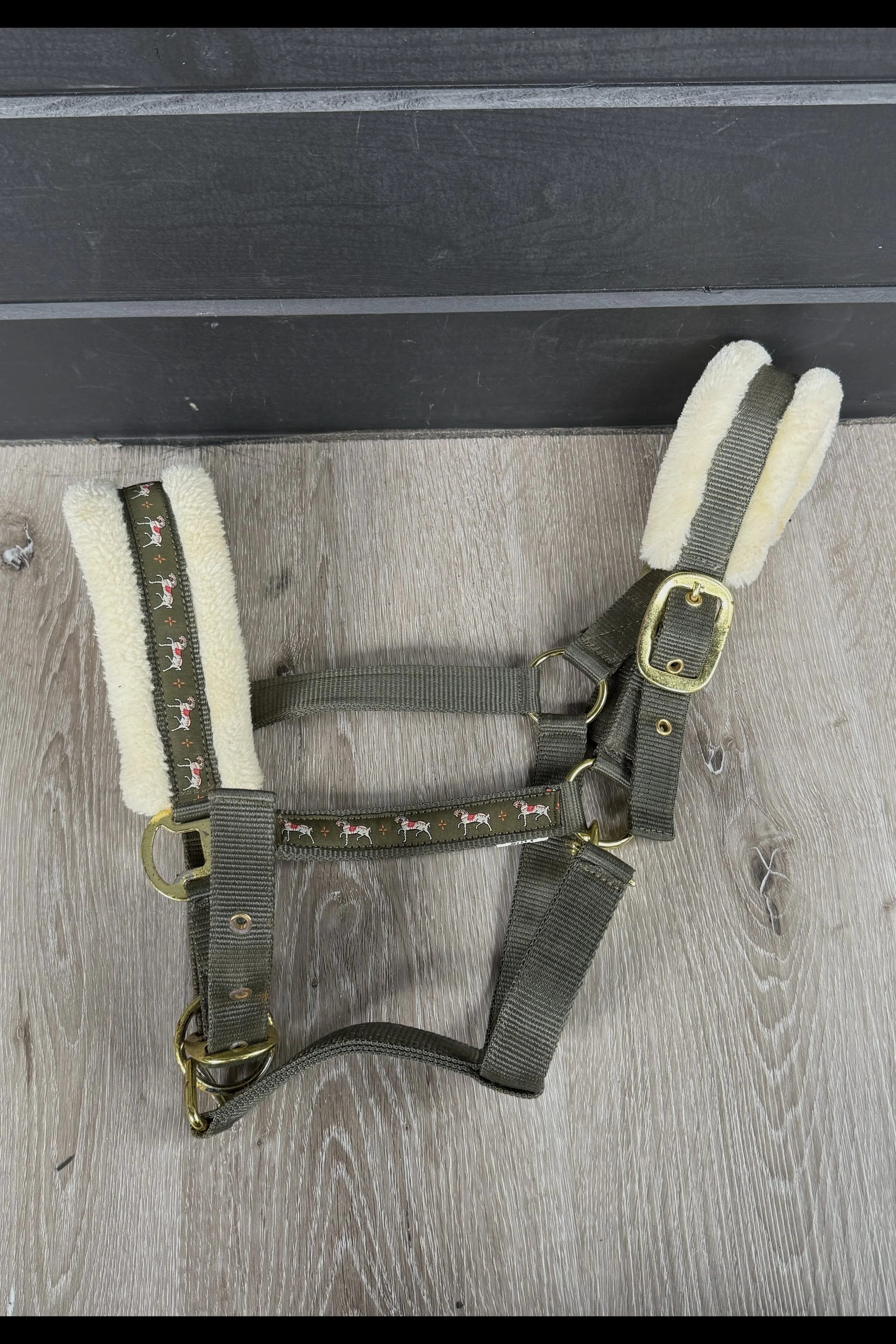 Halter padded.jpg