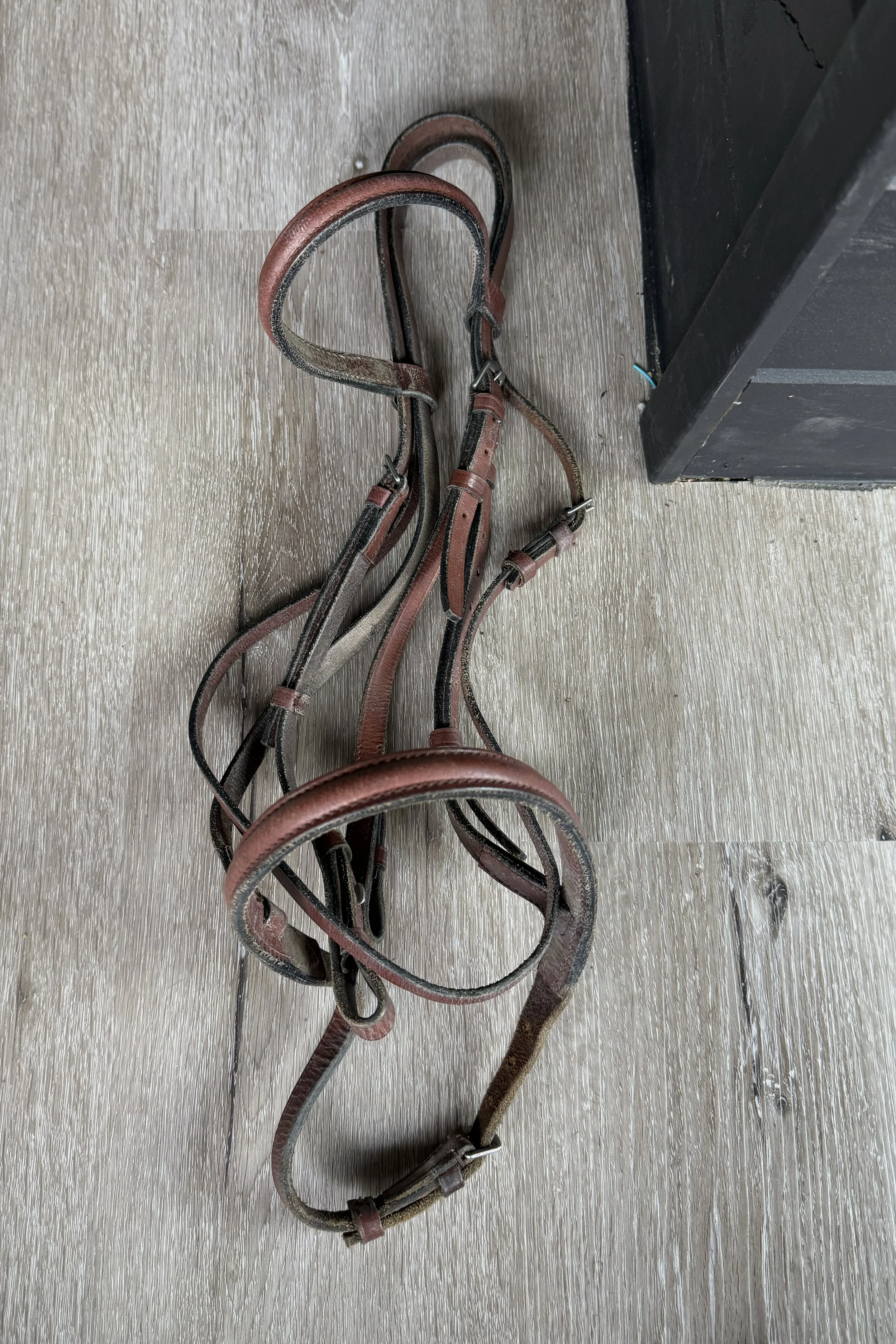 Plain Leather Bridle In Brown - Cob