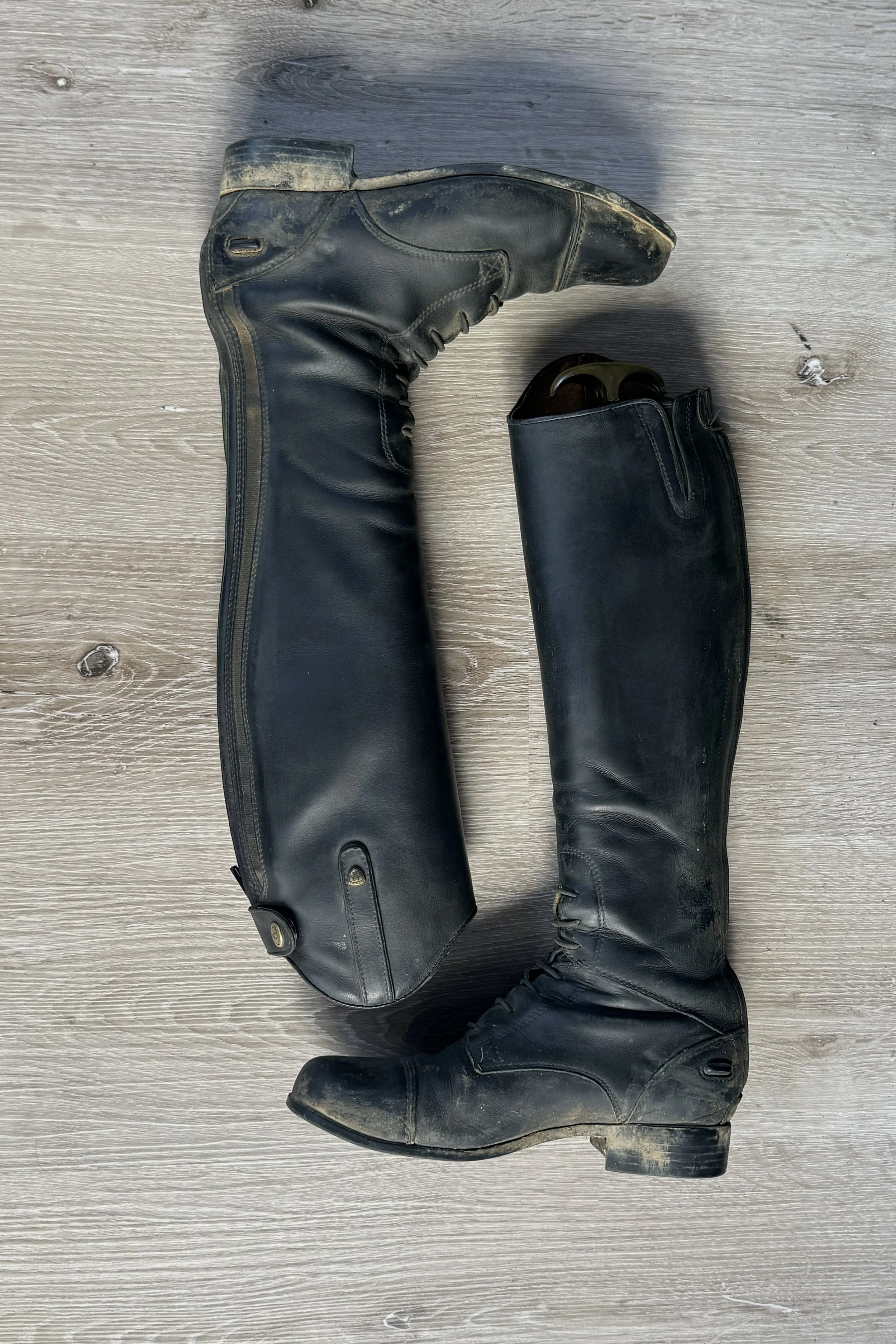 ariat 2.jpg