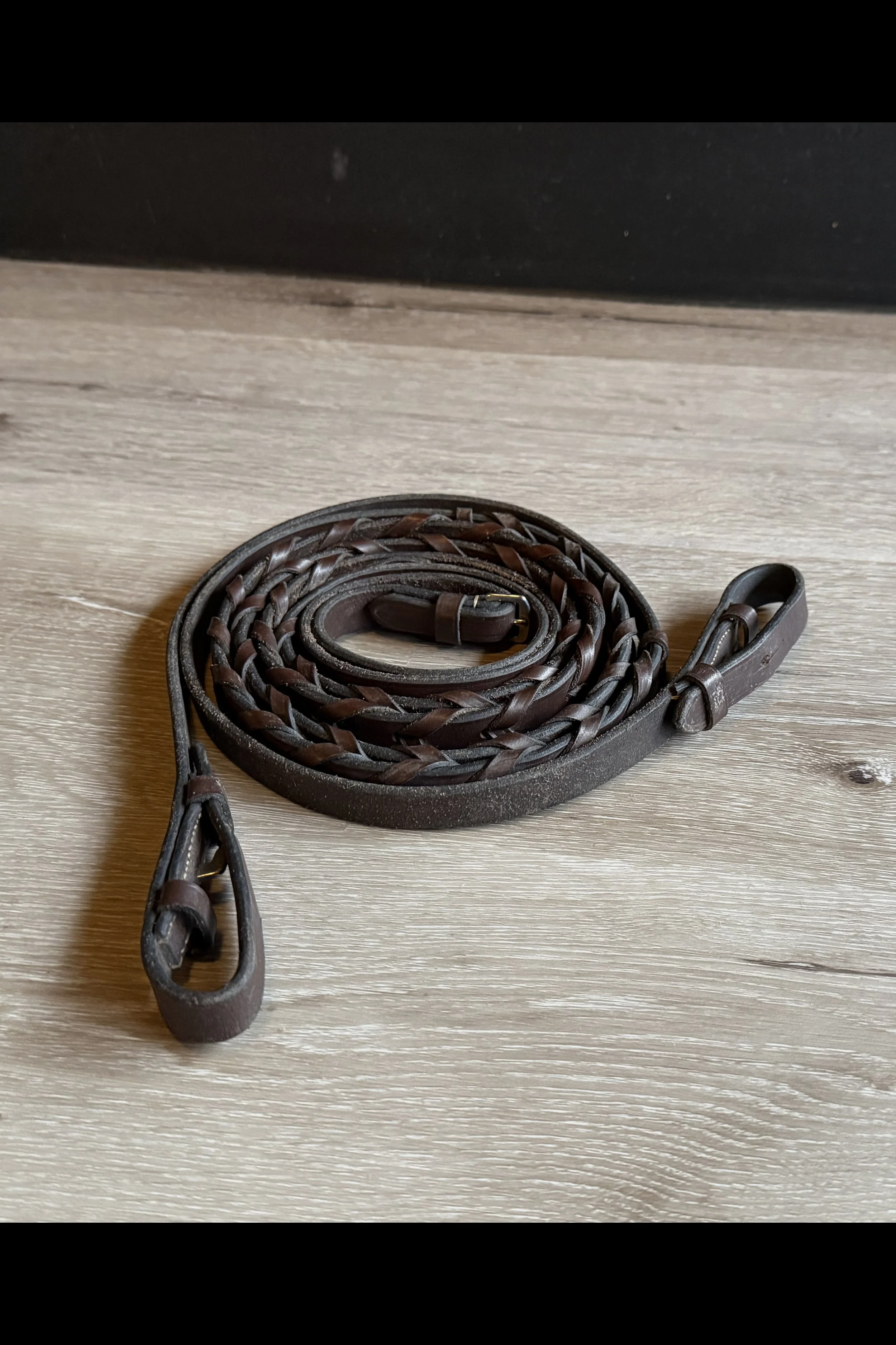laced reins .jpg