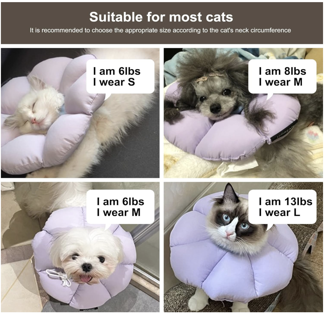 Screenshot 2026-04-02 at 6.55.50 PM.png