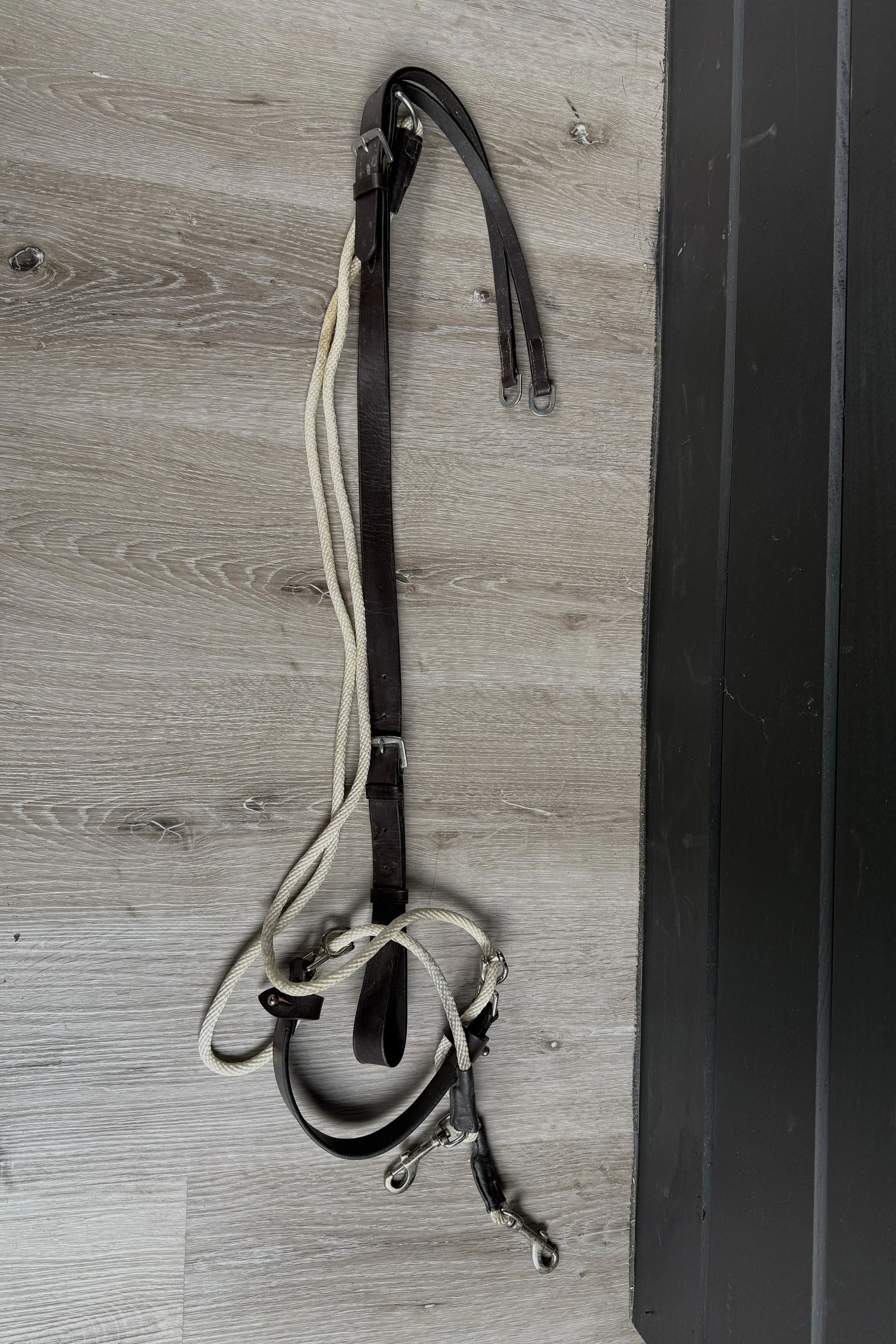 Shires Avignon De Gogue Trainng Aid In Brown - Full