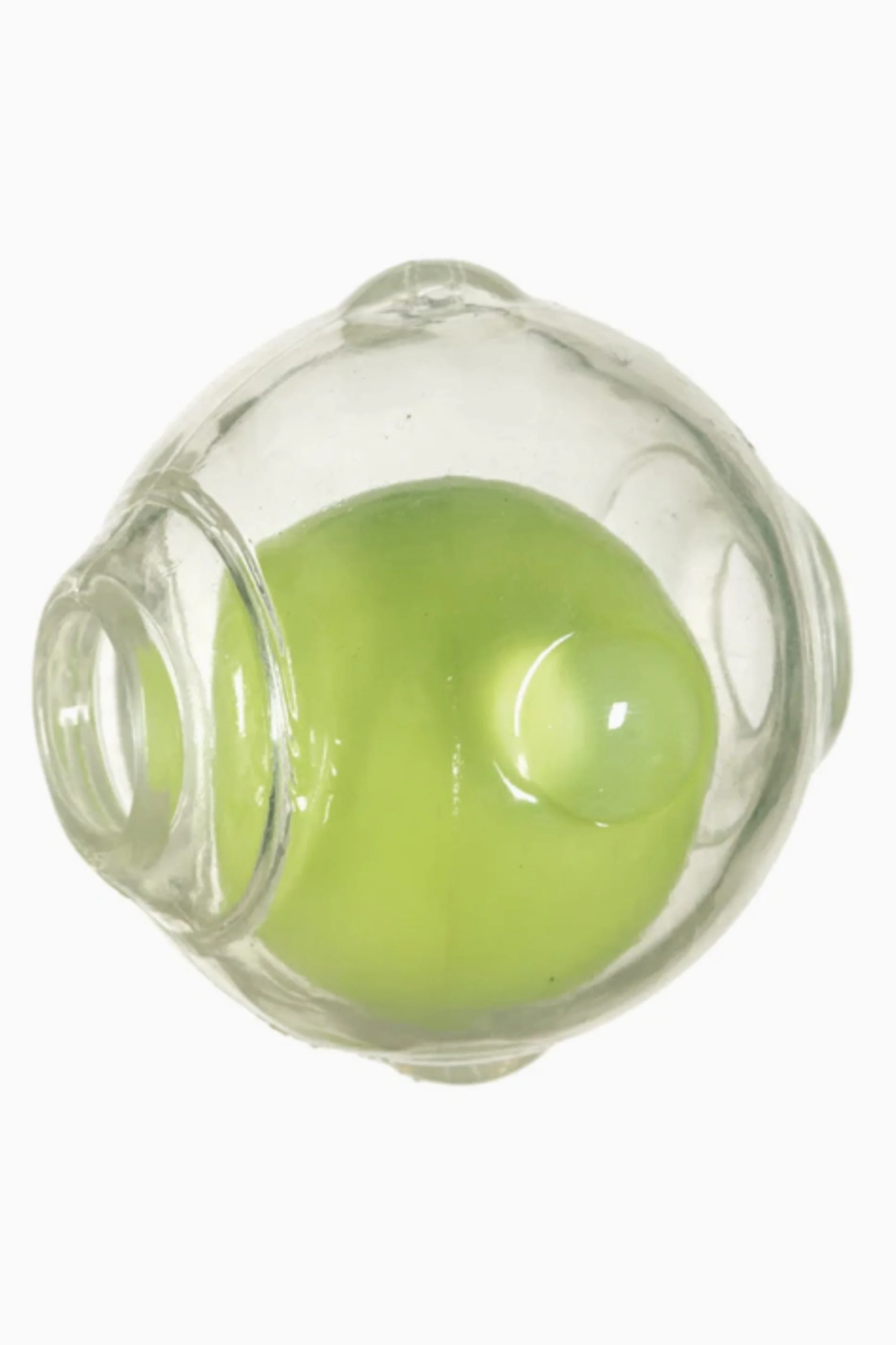 Chase 'n Chomp Amazing Squeaker Ball Dog Toy