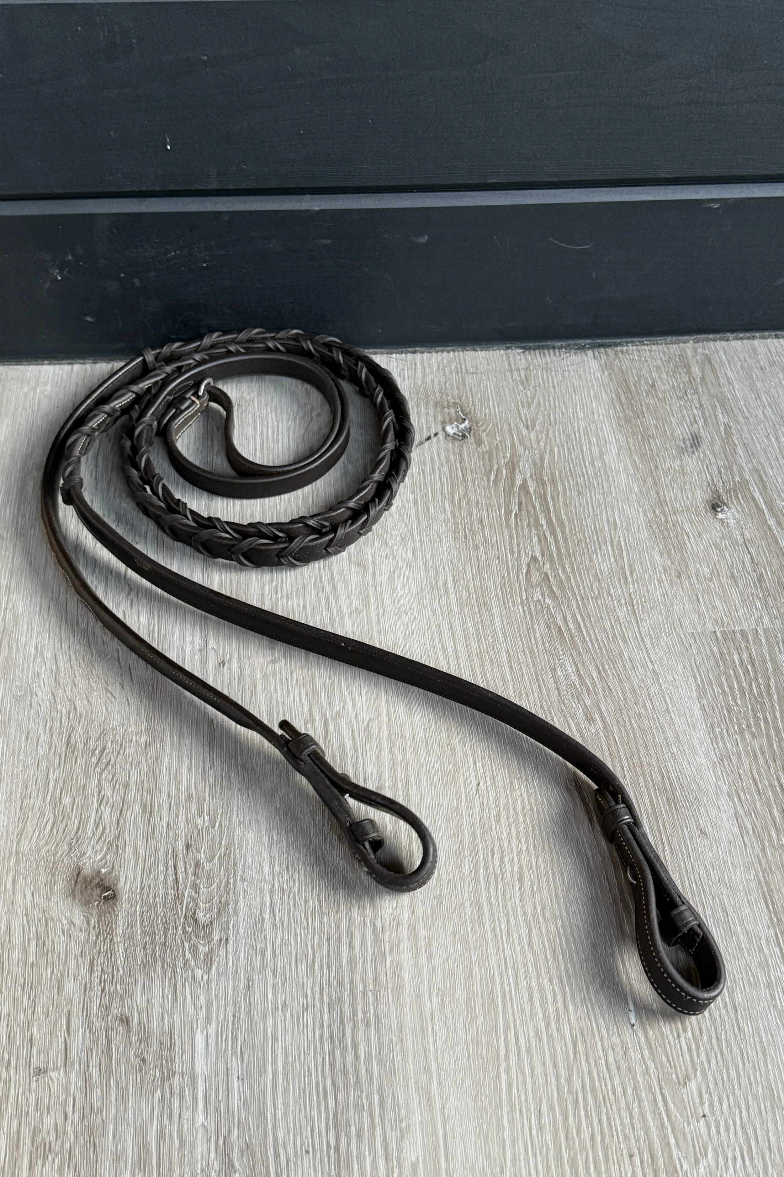 laced reins 1 .jpg