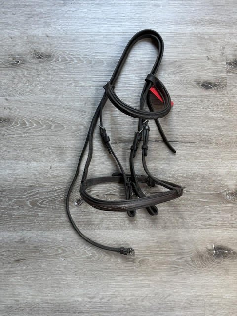 camelot bridle.jpg