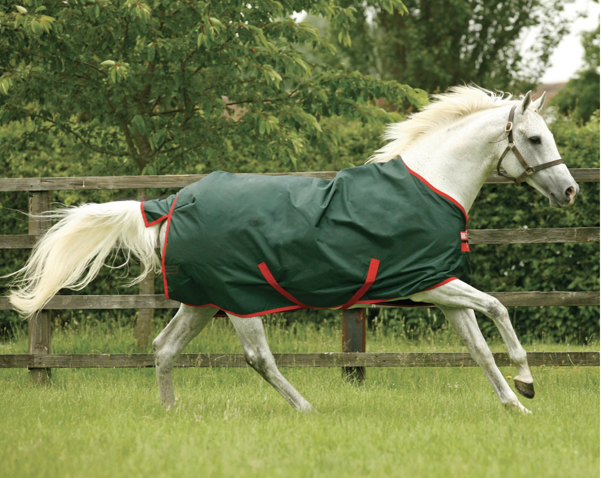 Screenshot 2026-02-04 at 7.36.25 PM.png