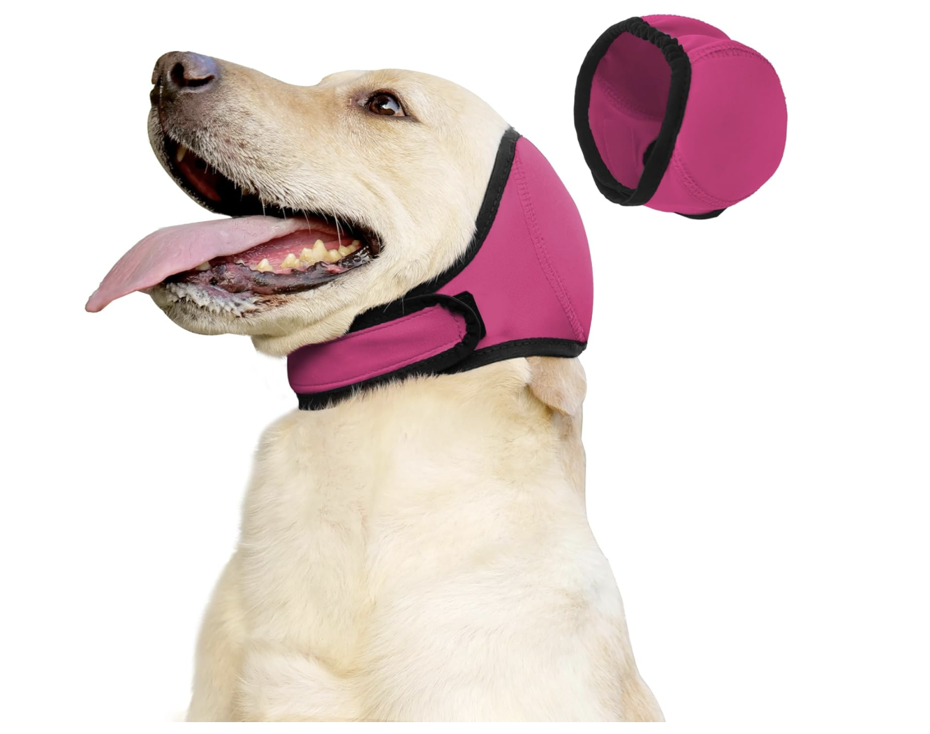 Screenshot 2026-04-02 at 7.49.55 PM.png