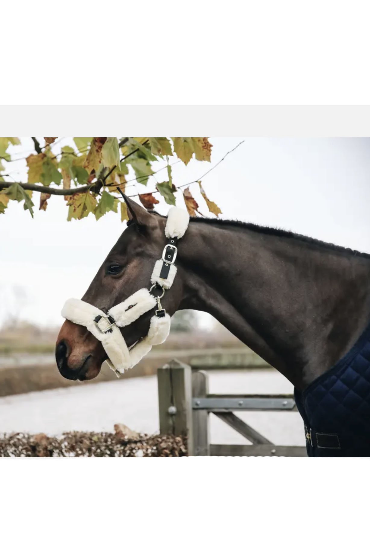 Kentucky Horsewear Sheepskin Shipping Halter In Natural - 2nd Round Equestrian