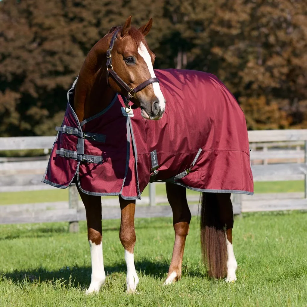 blanket 2.jpg