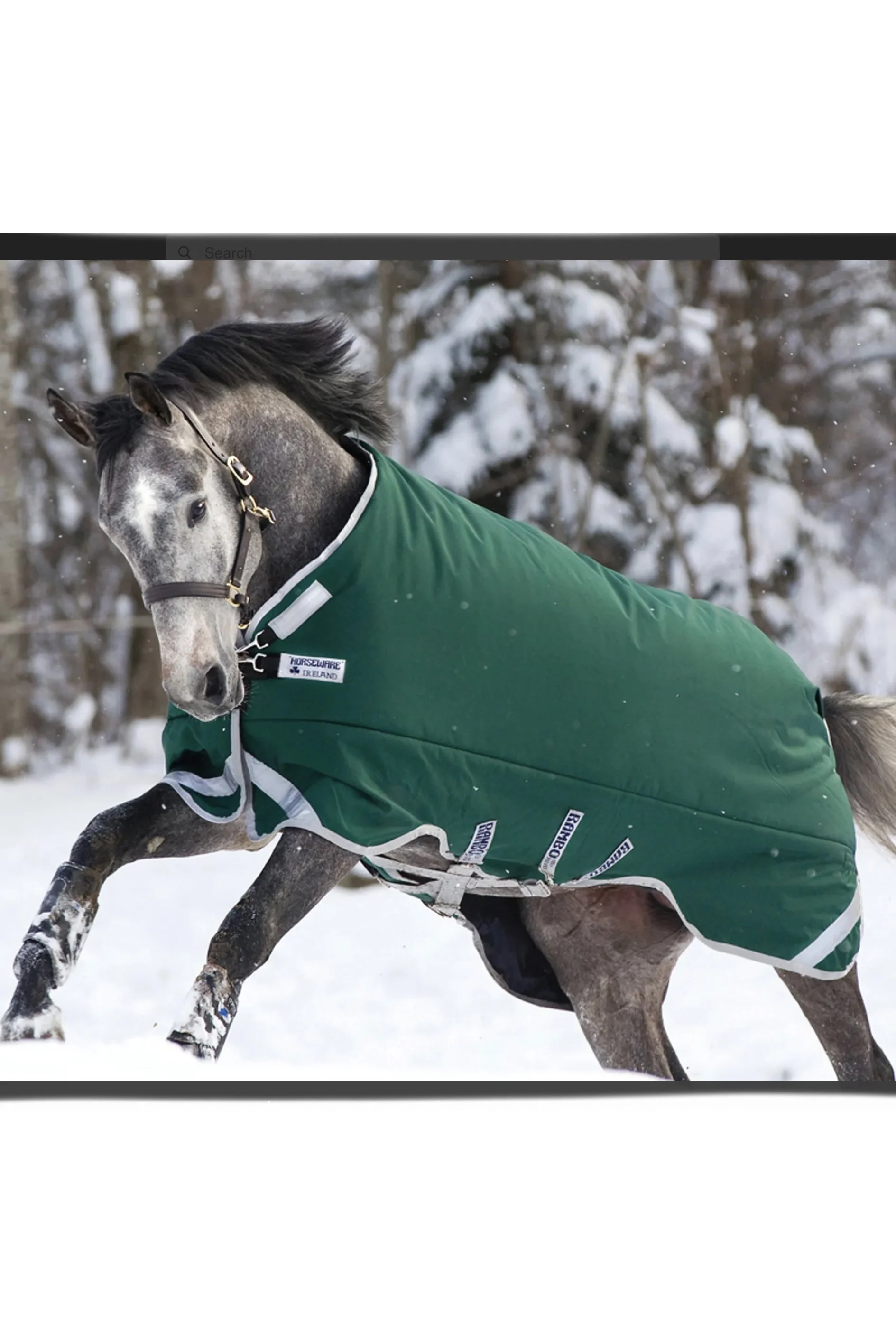 Rambo Original 400g Turnout Rug W/Leg Arches In Green/Silver - 84"