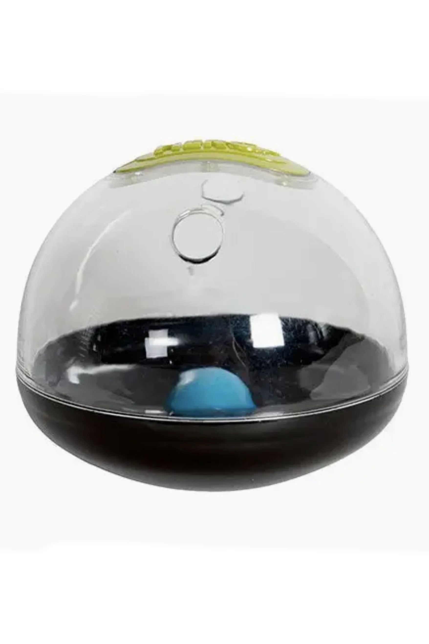 dogball-2.jpg