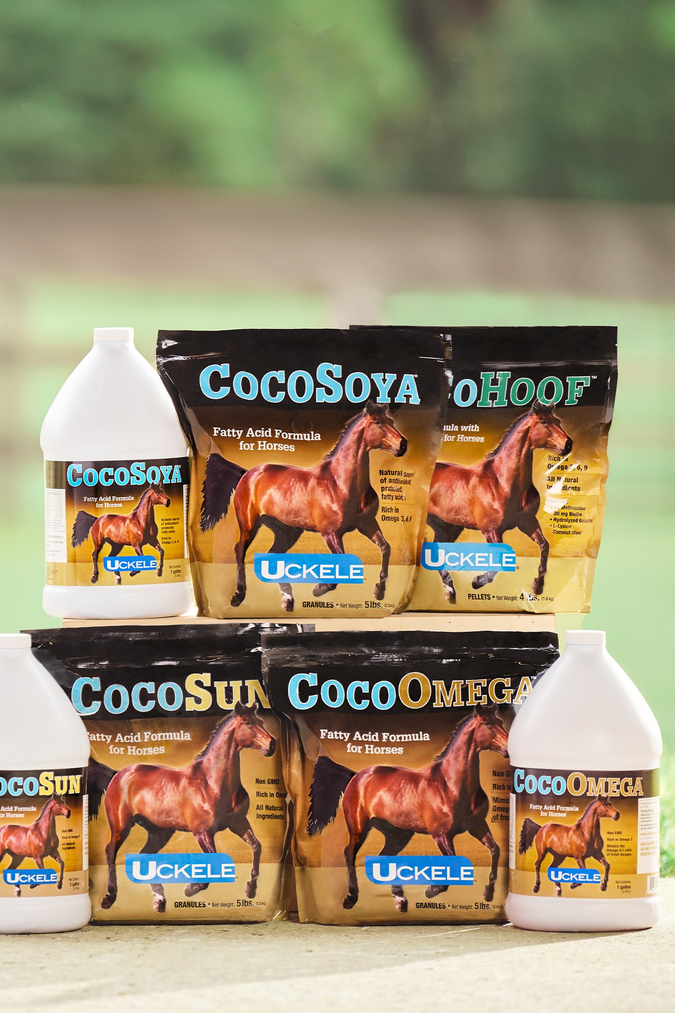 soya-3.jpg