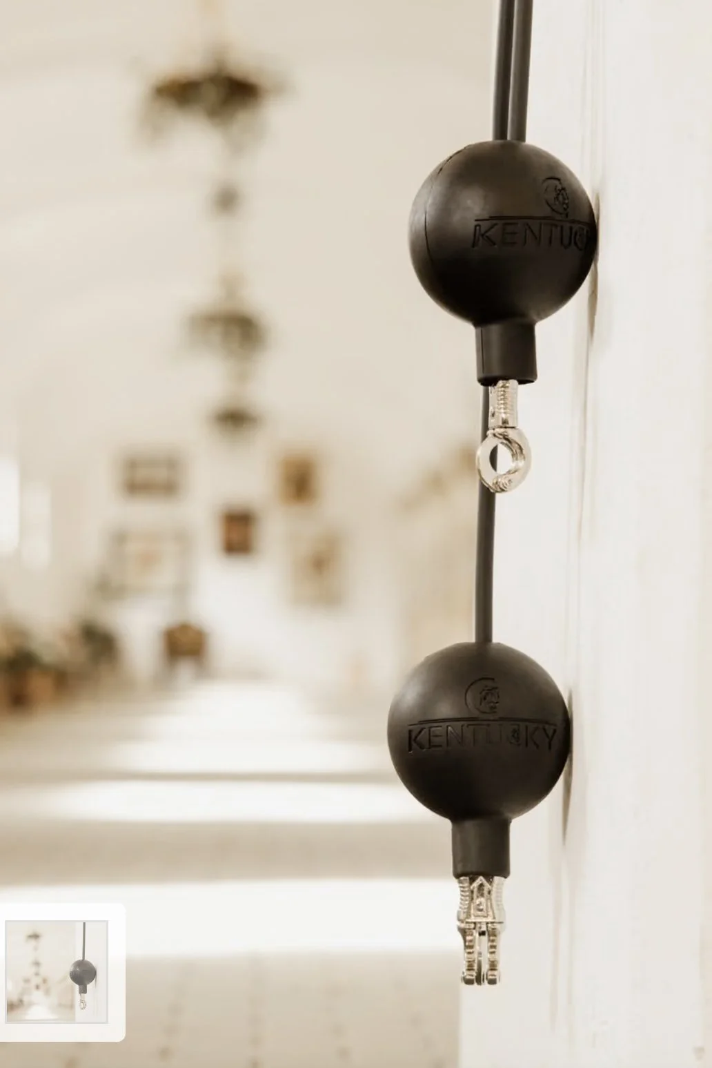 Kentucky Horsewear Rubber Ball Protection Wall & Lead