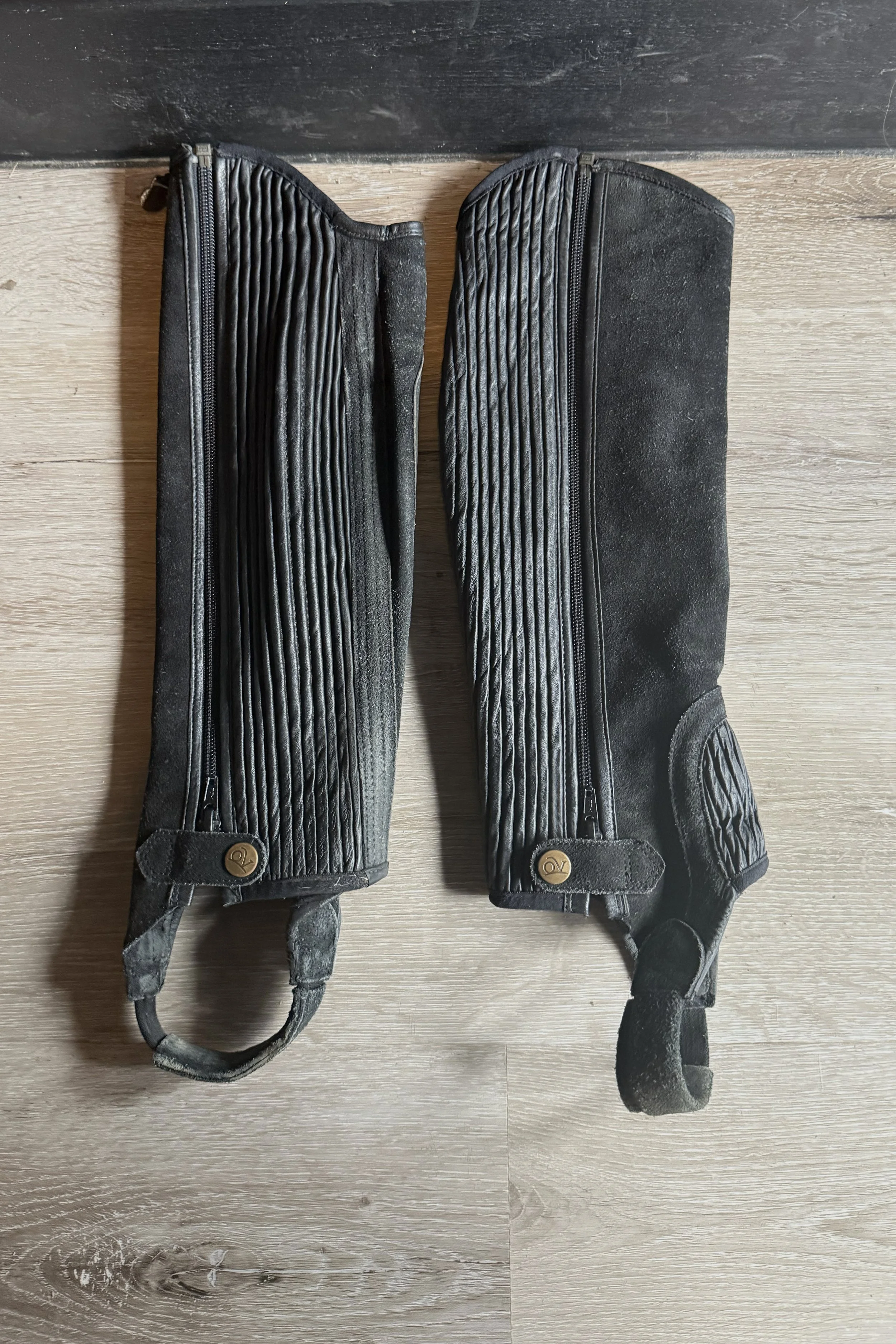 Ovation Suede Half Chaps In Black - XS