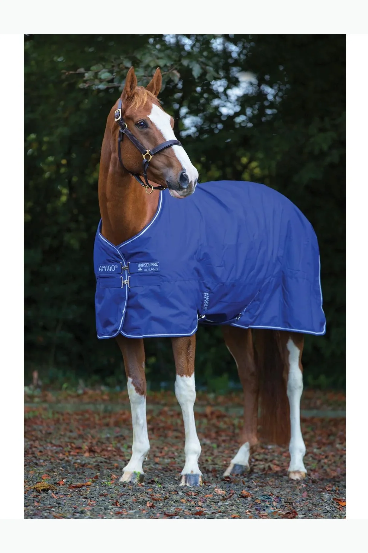Horseware Amigo Hero ACY Pony Lite Turnout In Atlantic Blue - 63"