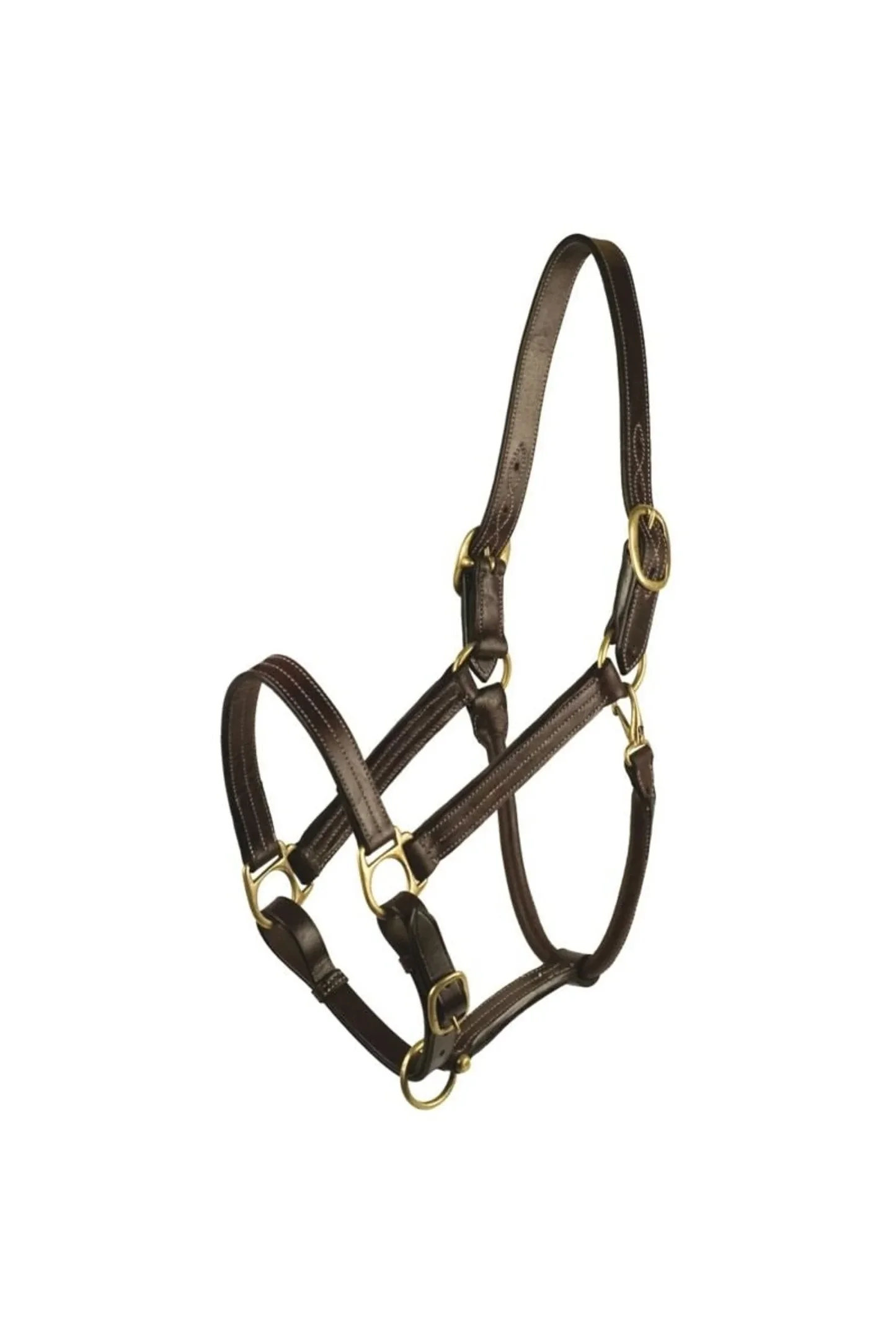 halter 1.jpg