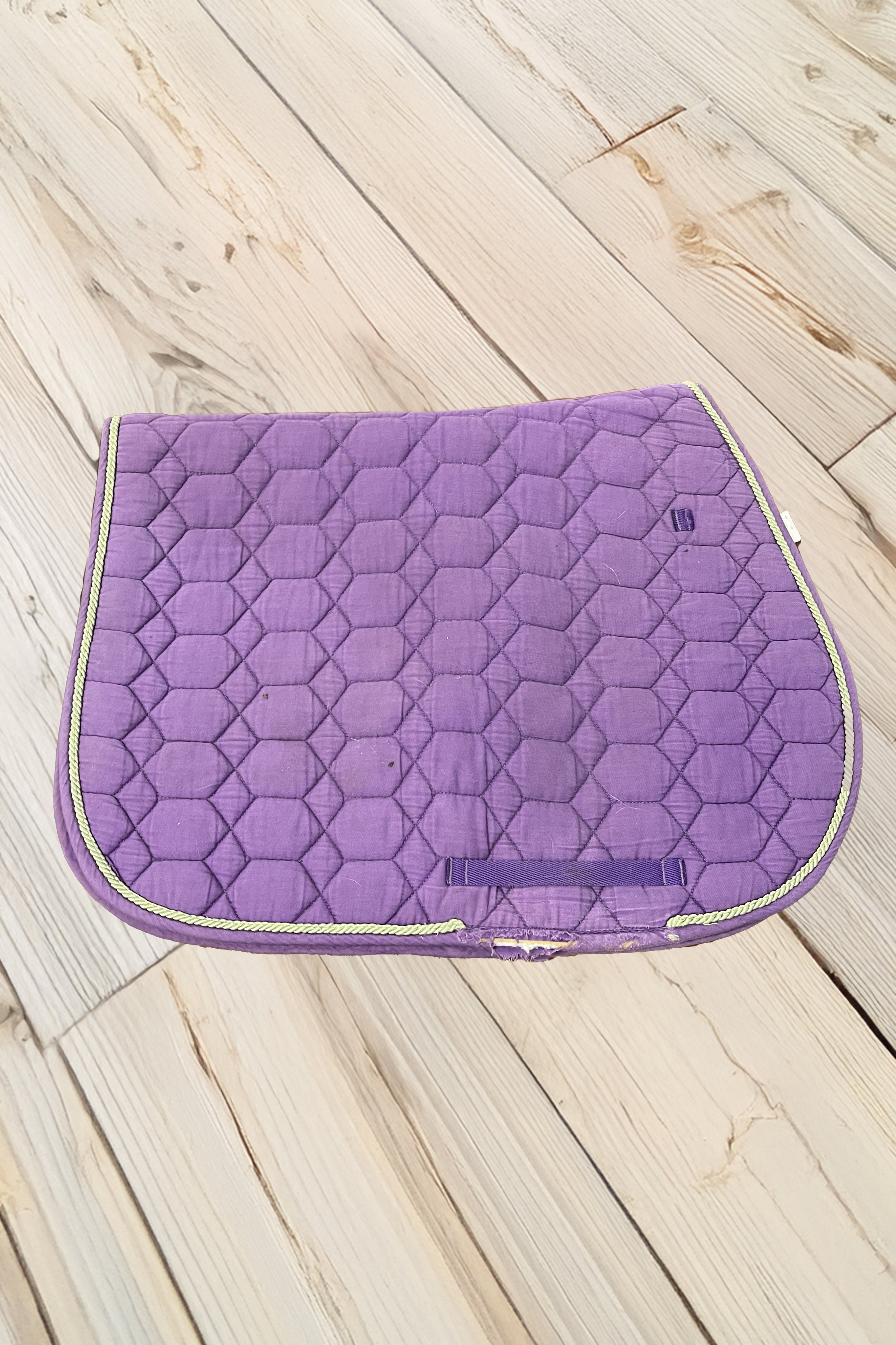 light purple 1 .jpg