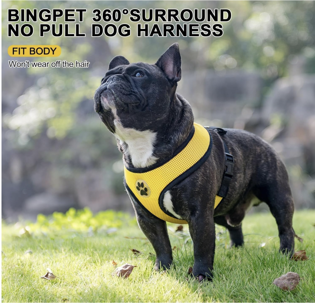 Screenshot 2026-04-01 at 9.28.58 PM.png