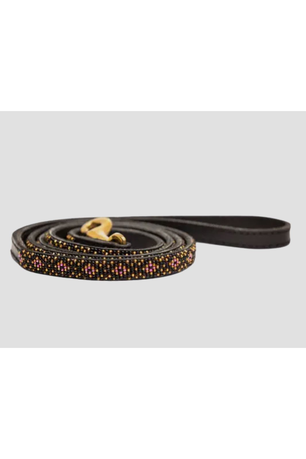 leash-3.jpg