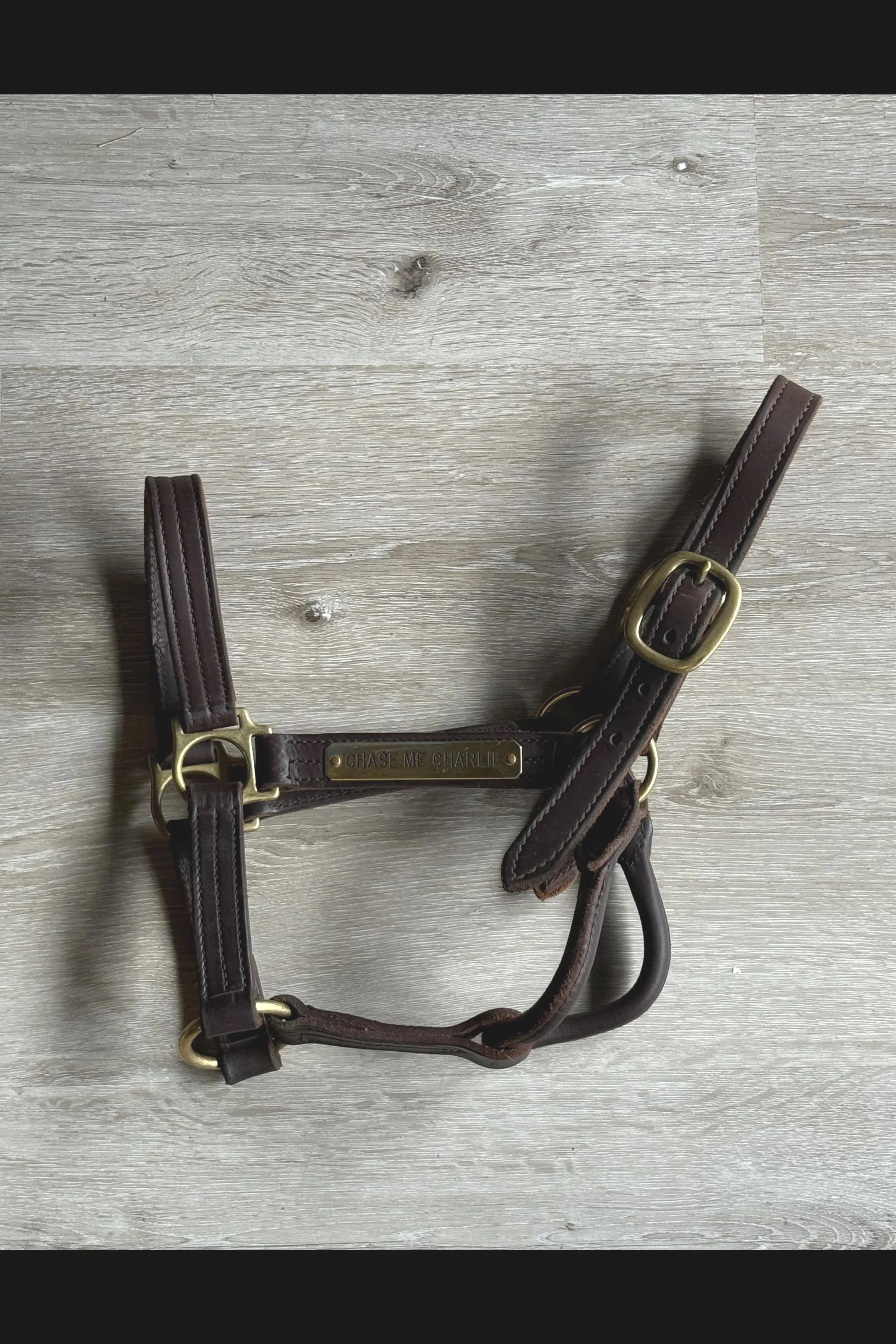 halter.jpg