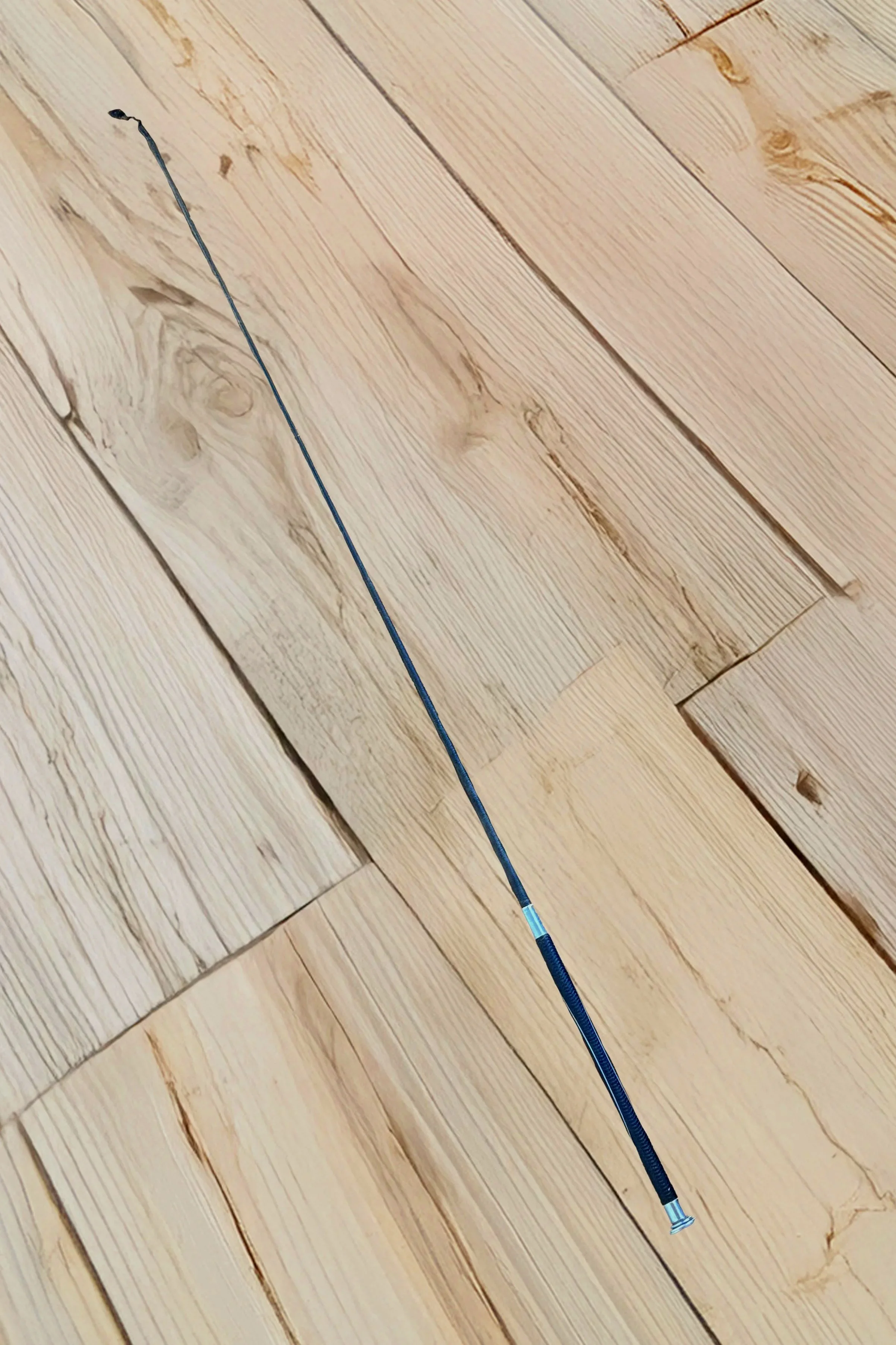 Whip+1.jpg