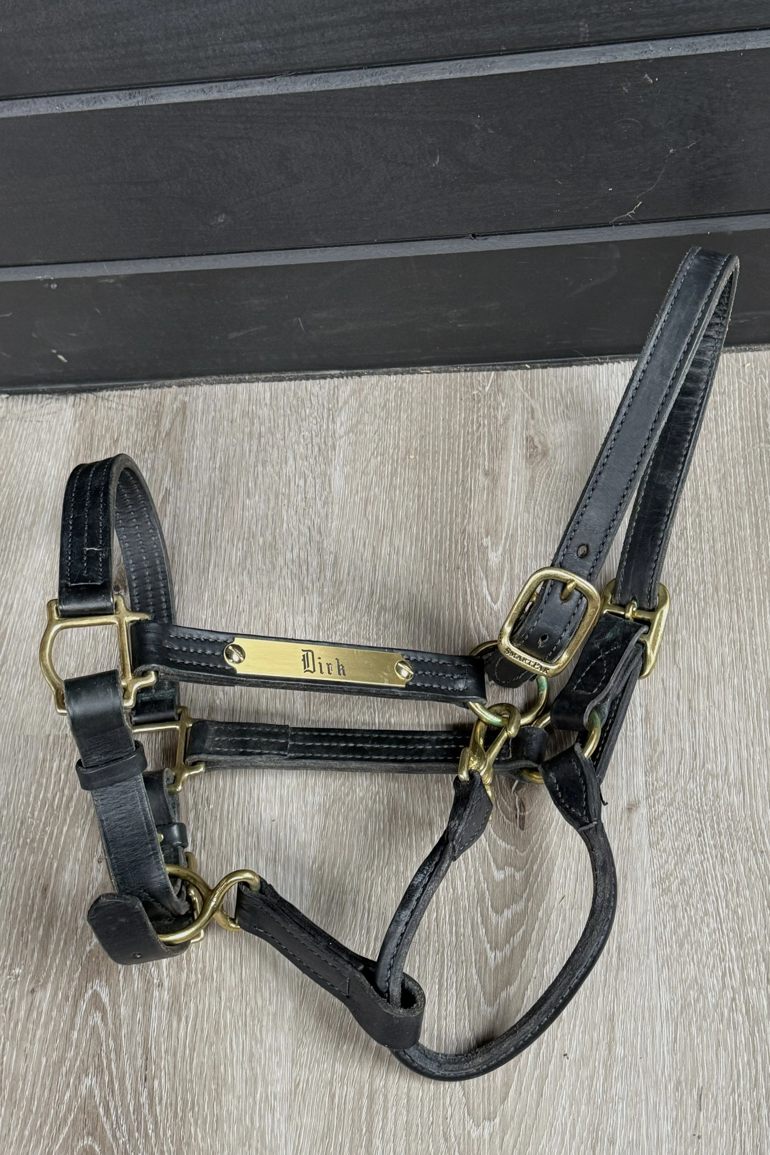 halter 1 .jpg