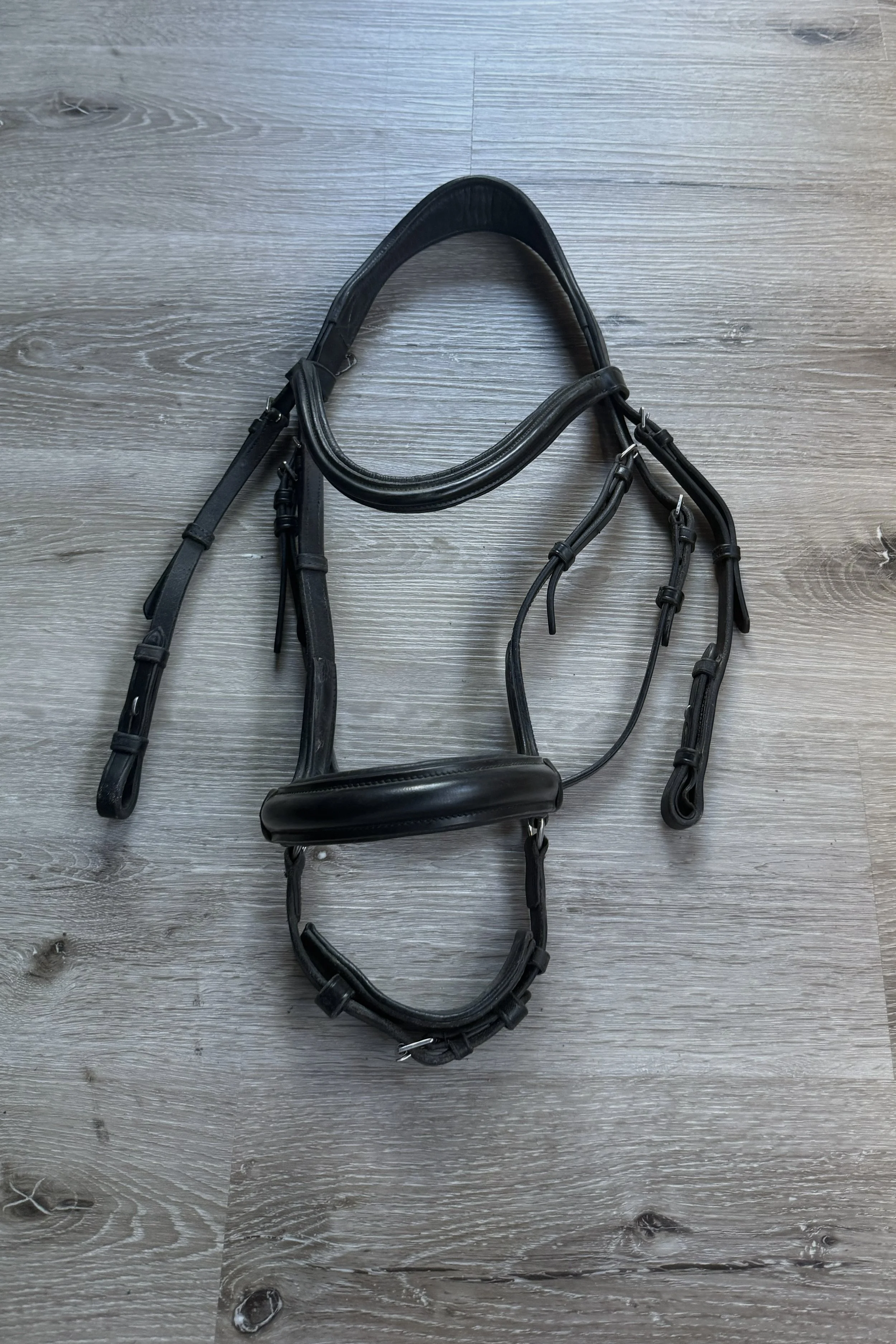 bridle .jpg