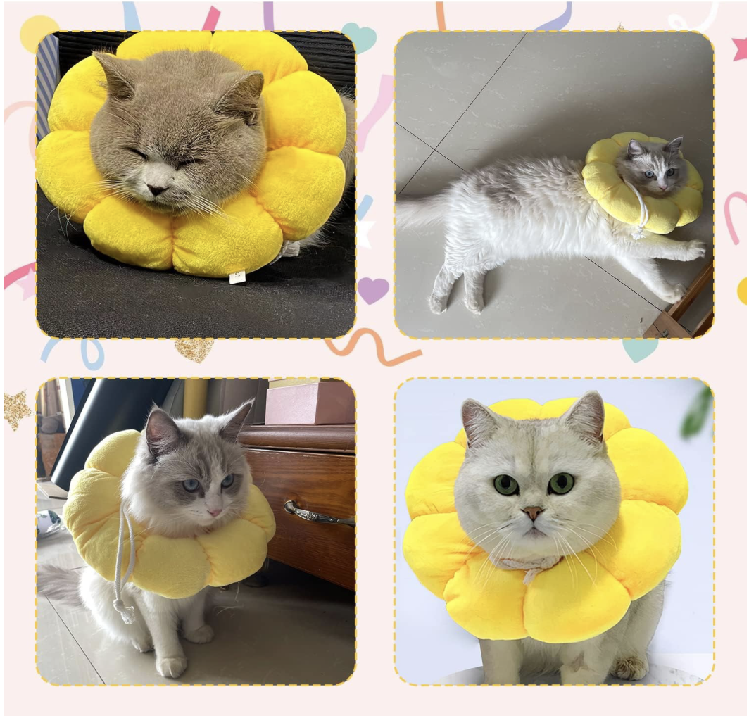 Screenshot 2026-04-02 at 7.10.34 PM.png