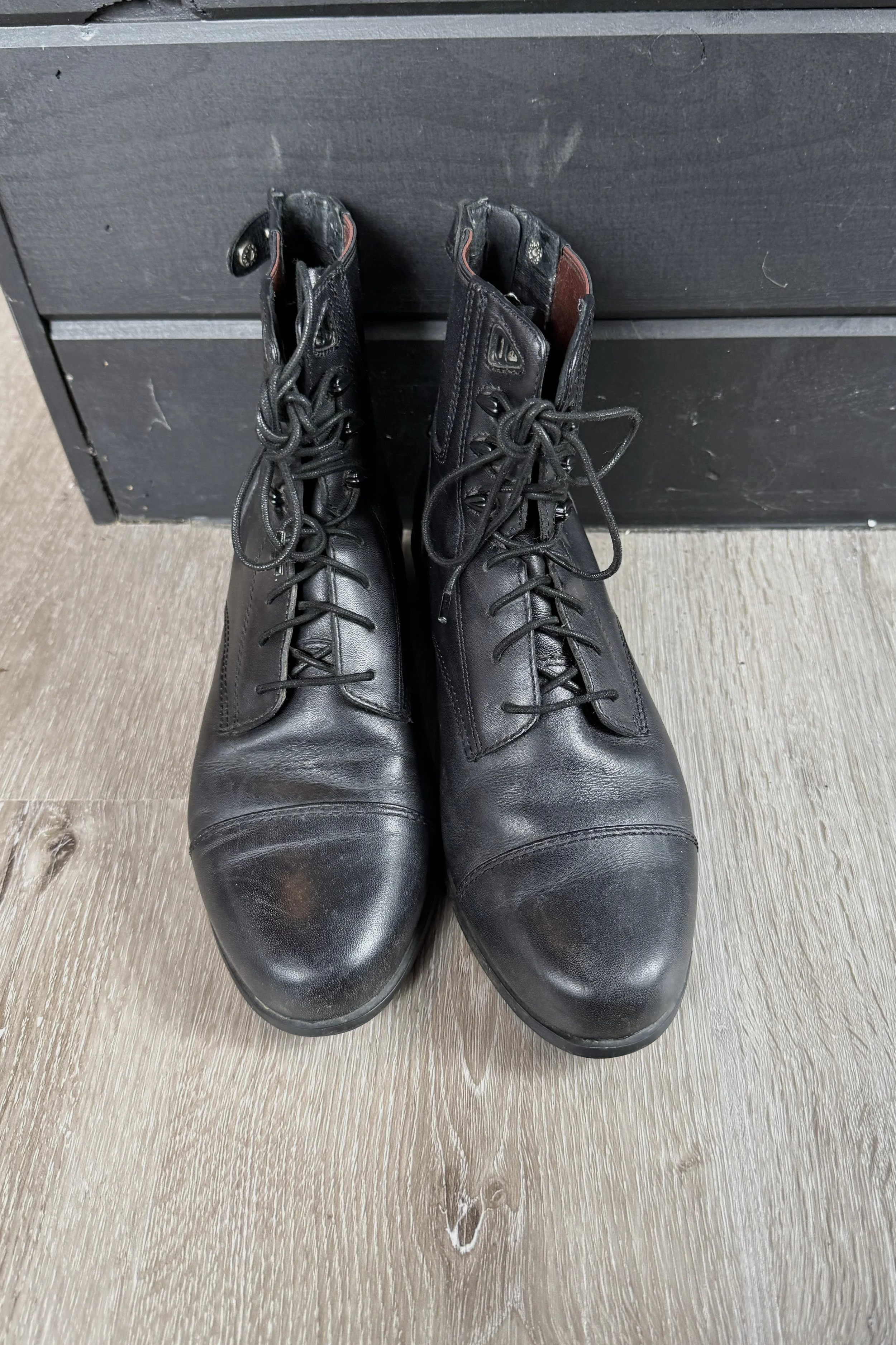 ariat 1.jpg