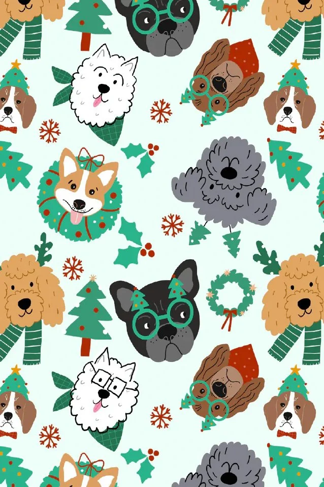 deck-the-paws-pair-a-spare-socks-pair-a-spare-dreamers-and-schemers-1177051952.png copy.jpg