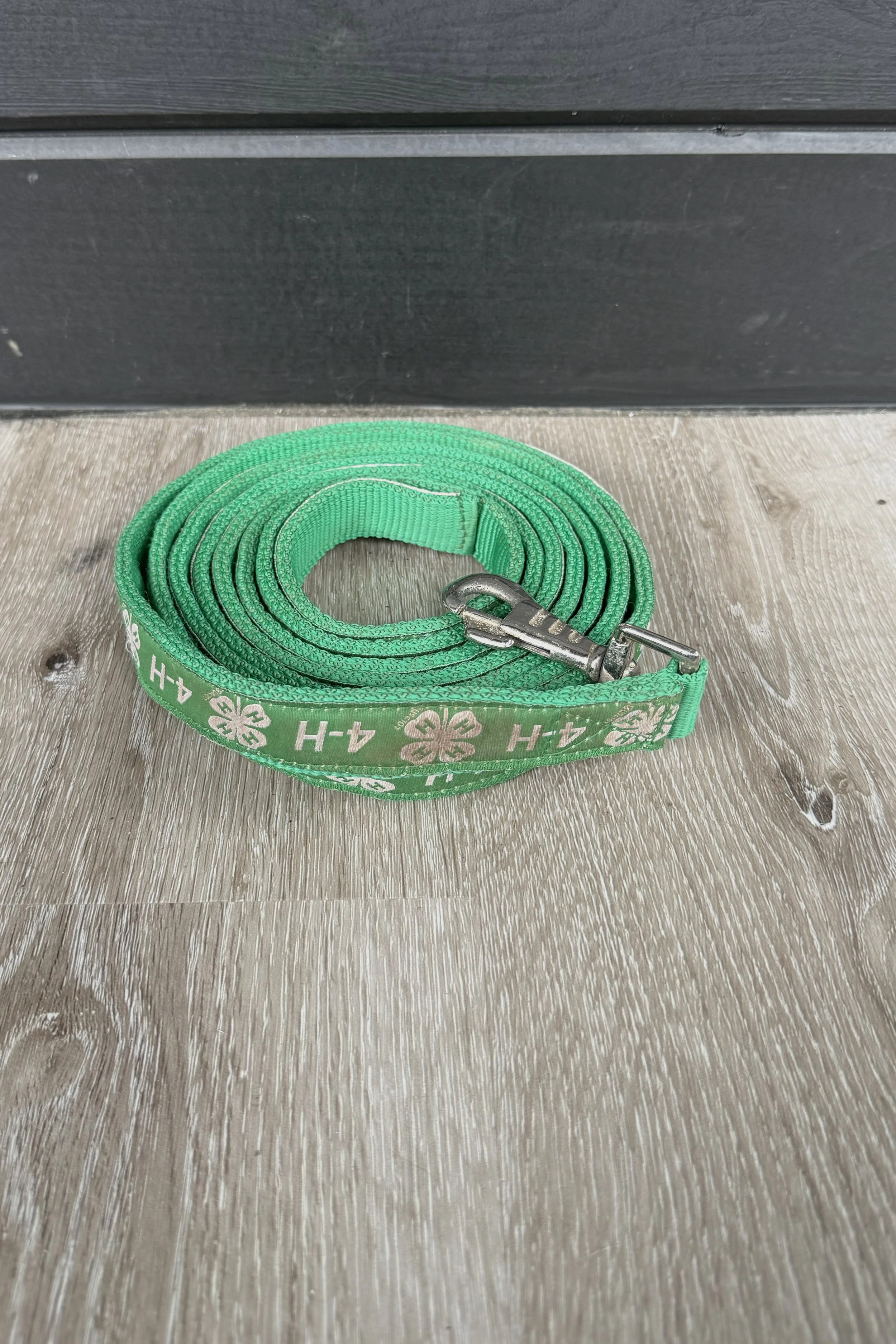 4-h.jpg