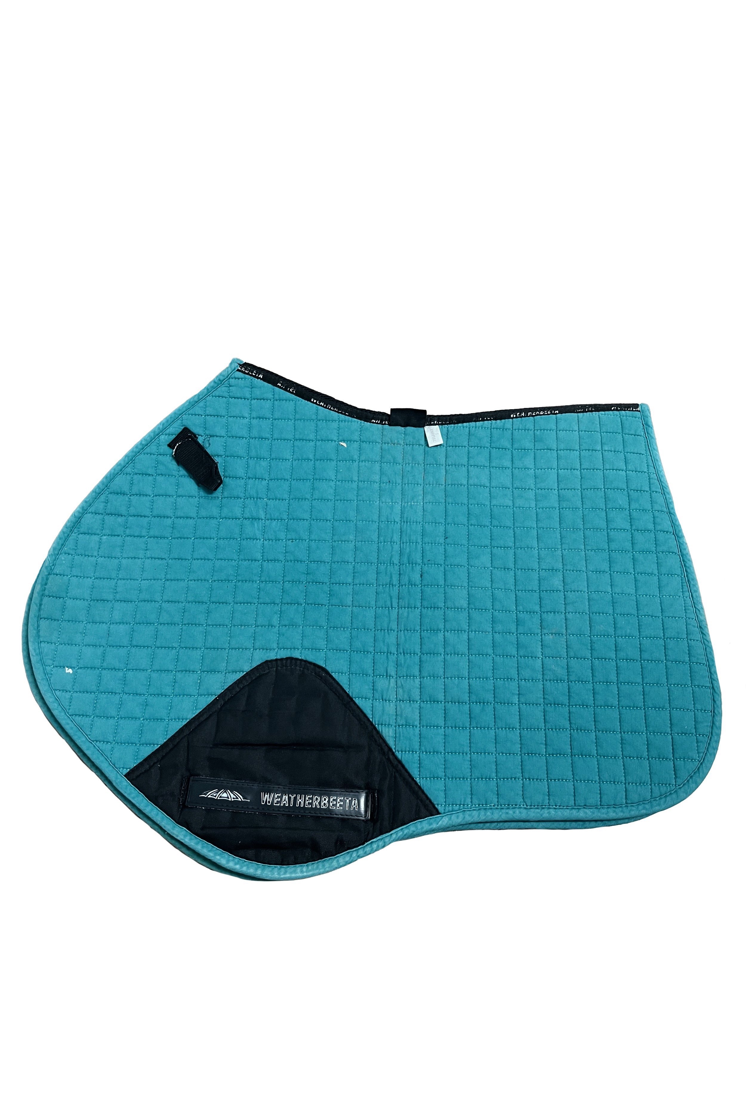 teal+3.jpg