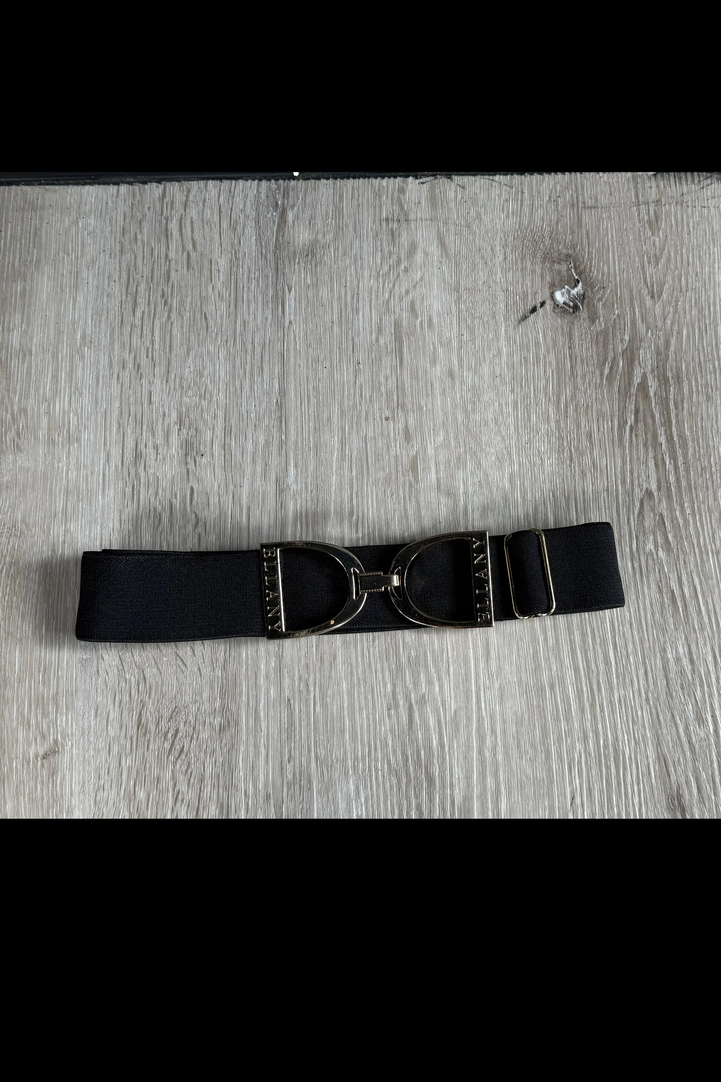 Ellany 1.5" Stirrup Belt In Black & Gold
